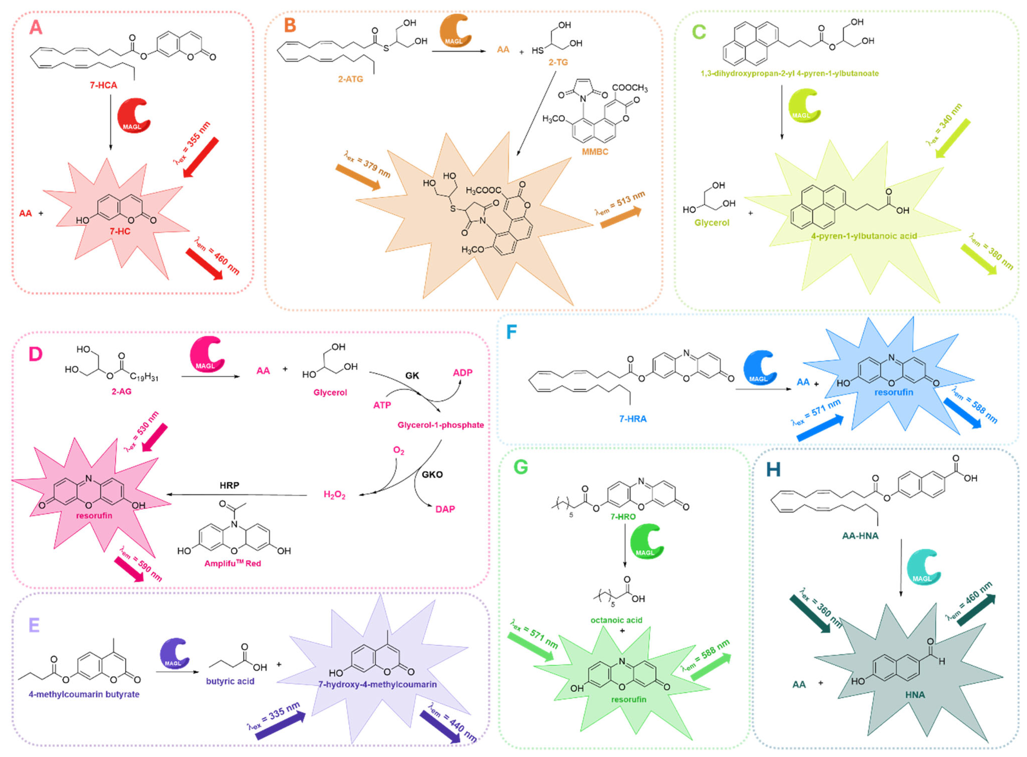 Ijms 26 09829 g008 Ijms 26 09829 g008