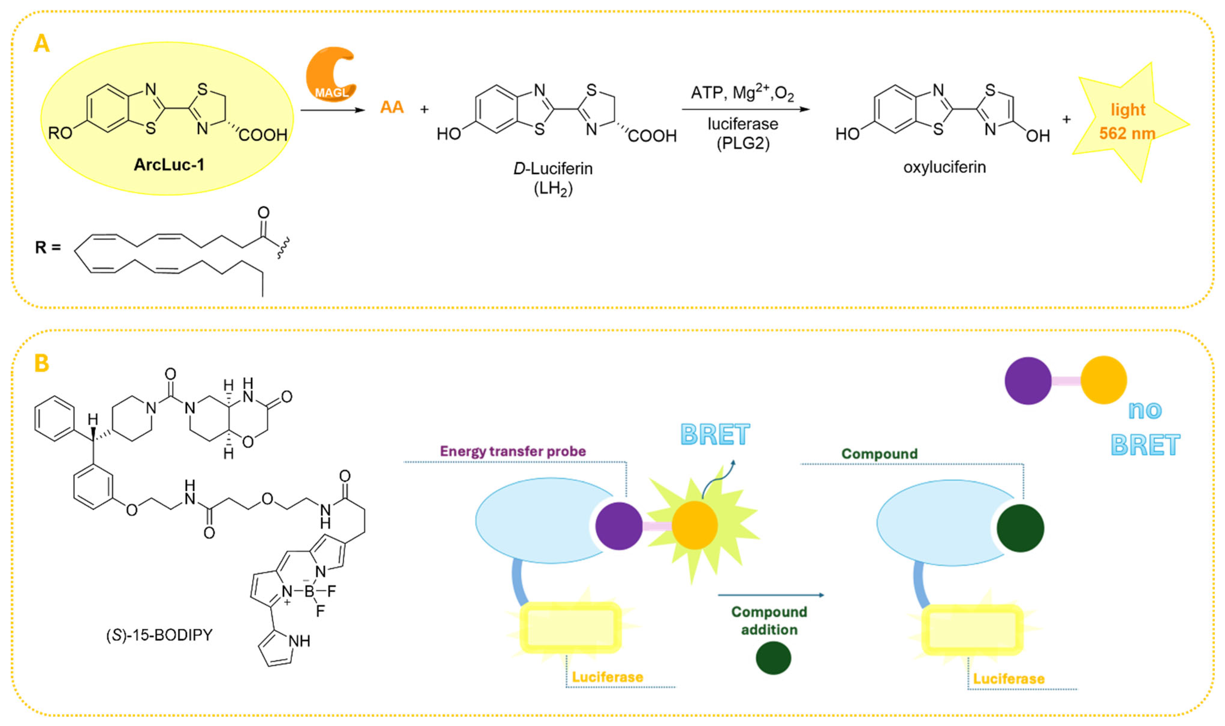 Ijms 26 09829 g009 Ijms 26 09829 g009
