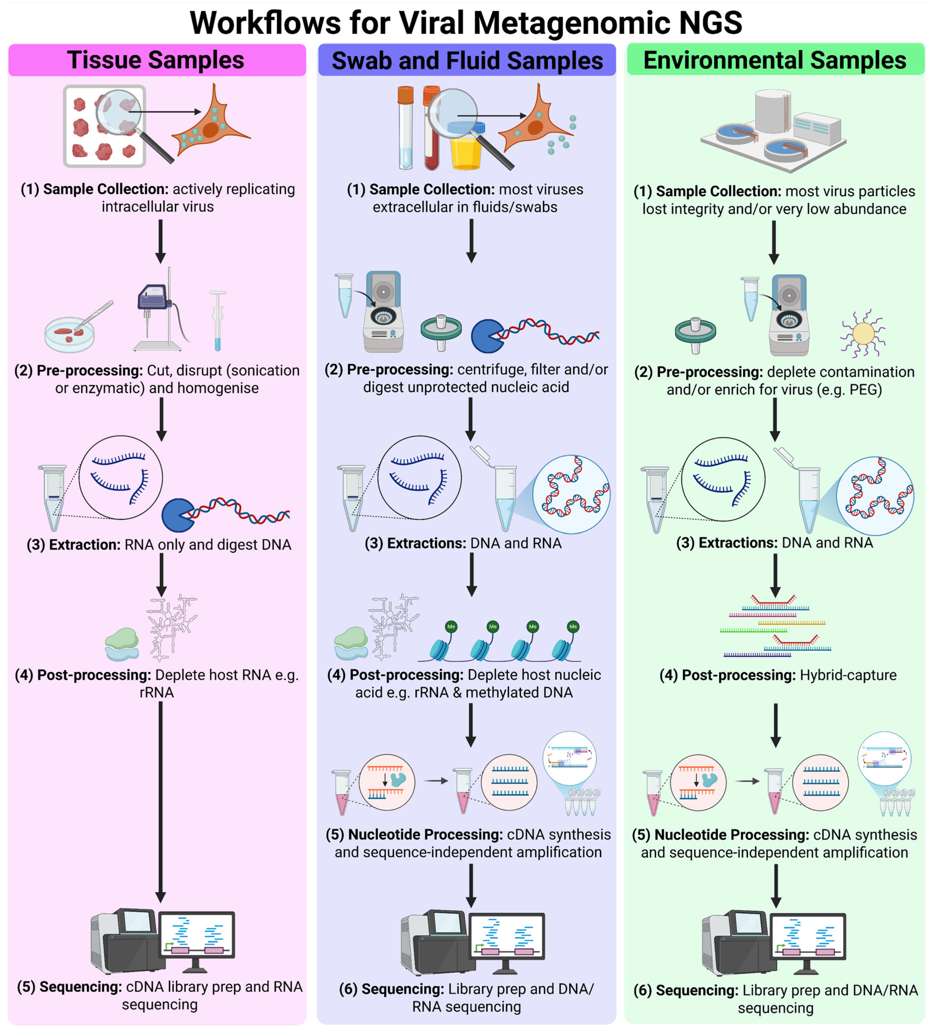 ELATION DP-415 ×2 ADJ's DP-415: 4-Channel Dimmer/Switch Pack