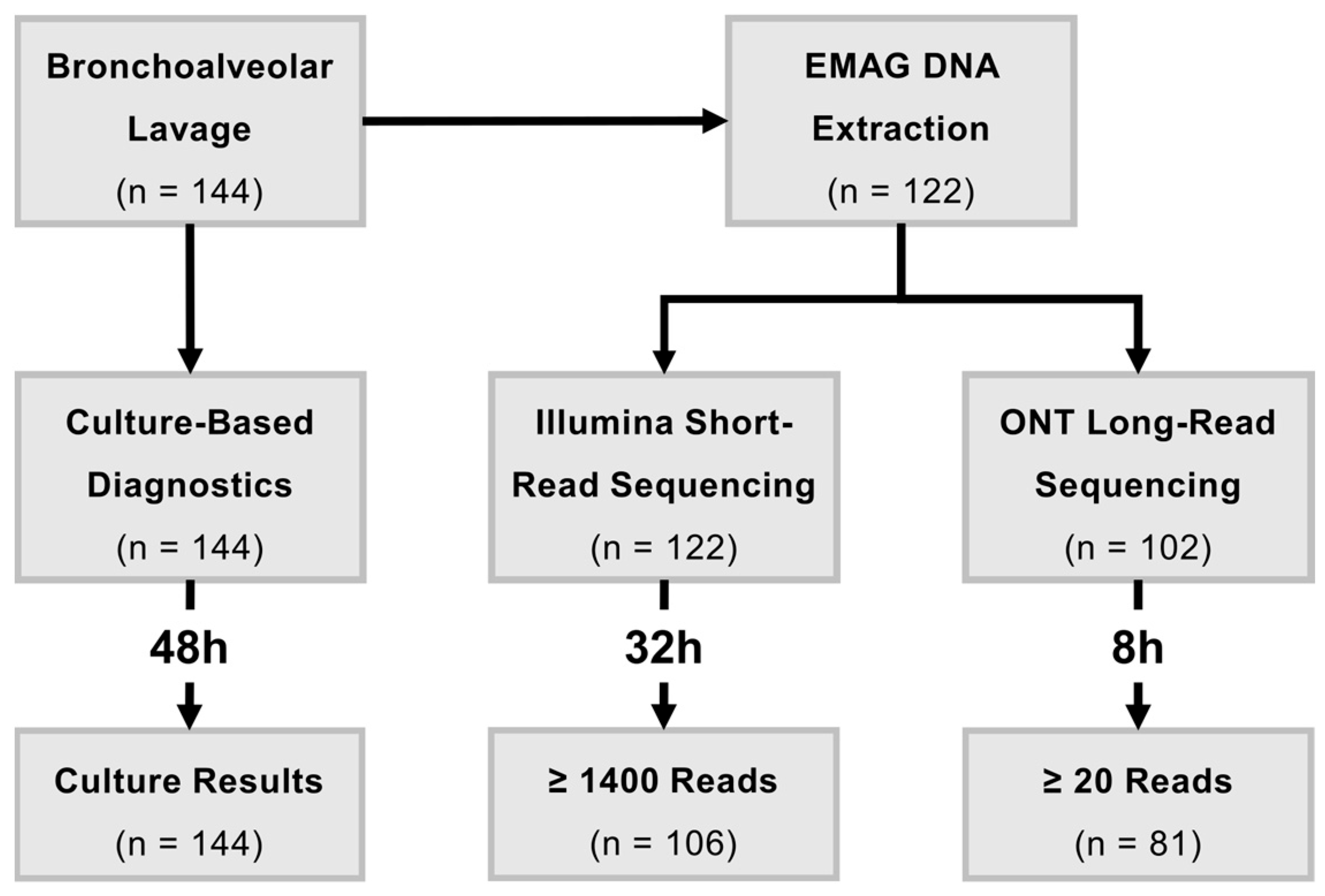 Ijms 26 09841 g001 Ijms 26 09841 g001