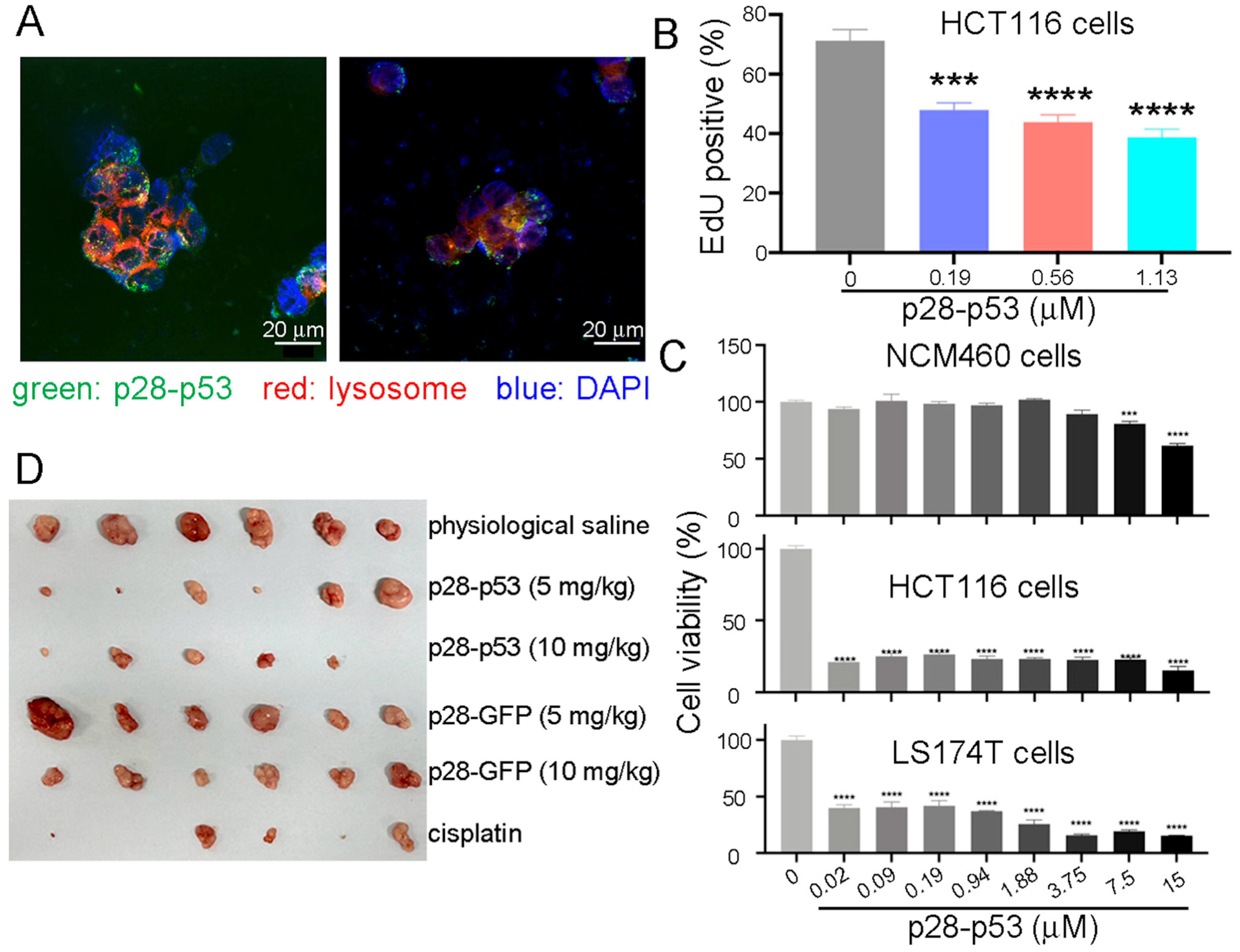 Ijms 26 09846 g001 Ijms 26 09846 g001