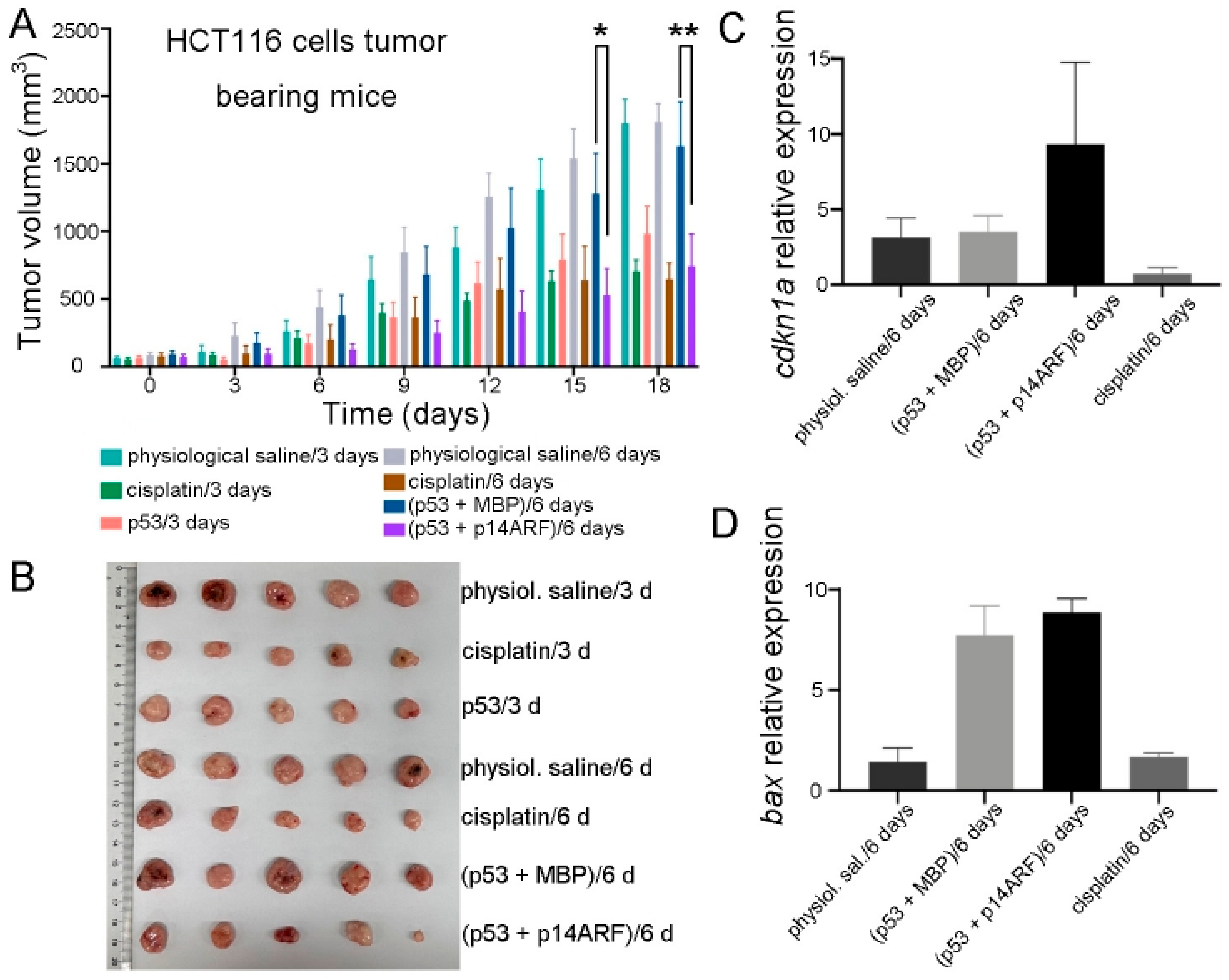 Ijms 26 09846 g003 Ijms 26 09846 g003