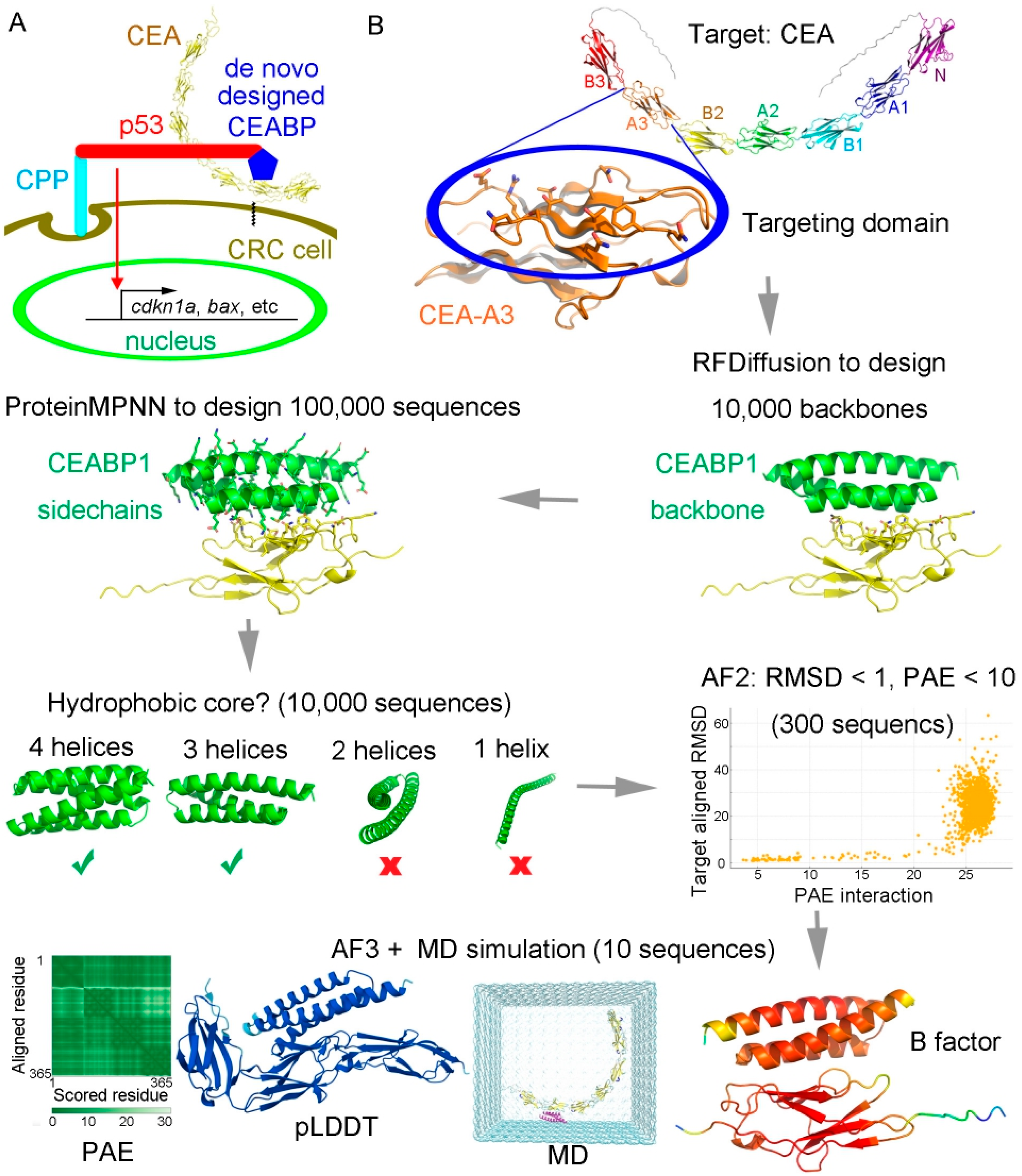 Ijms 26 09846 g004 Ijms 26 09846 g004