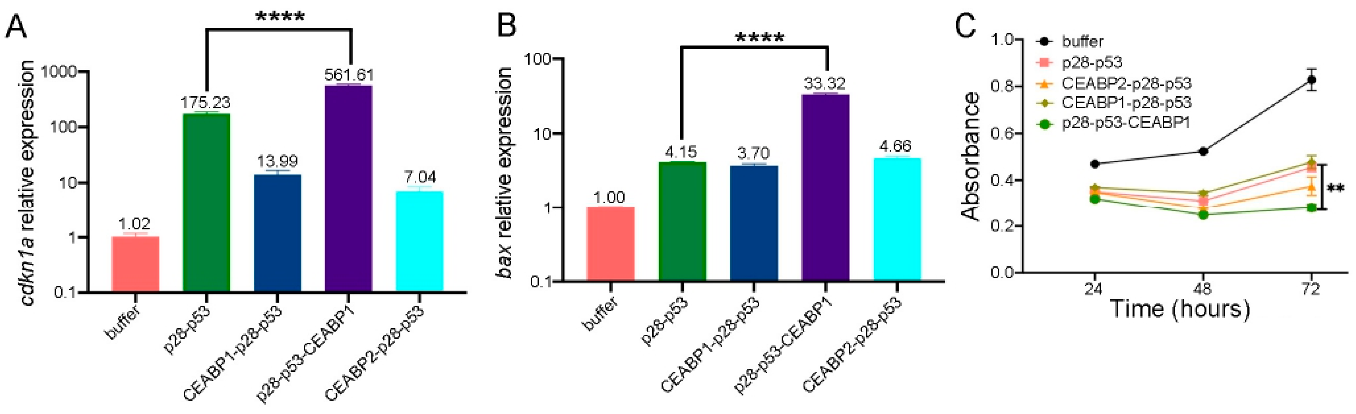 Ijms 26 09846 g006 Ijms 26 09846 g006