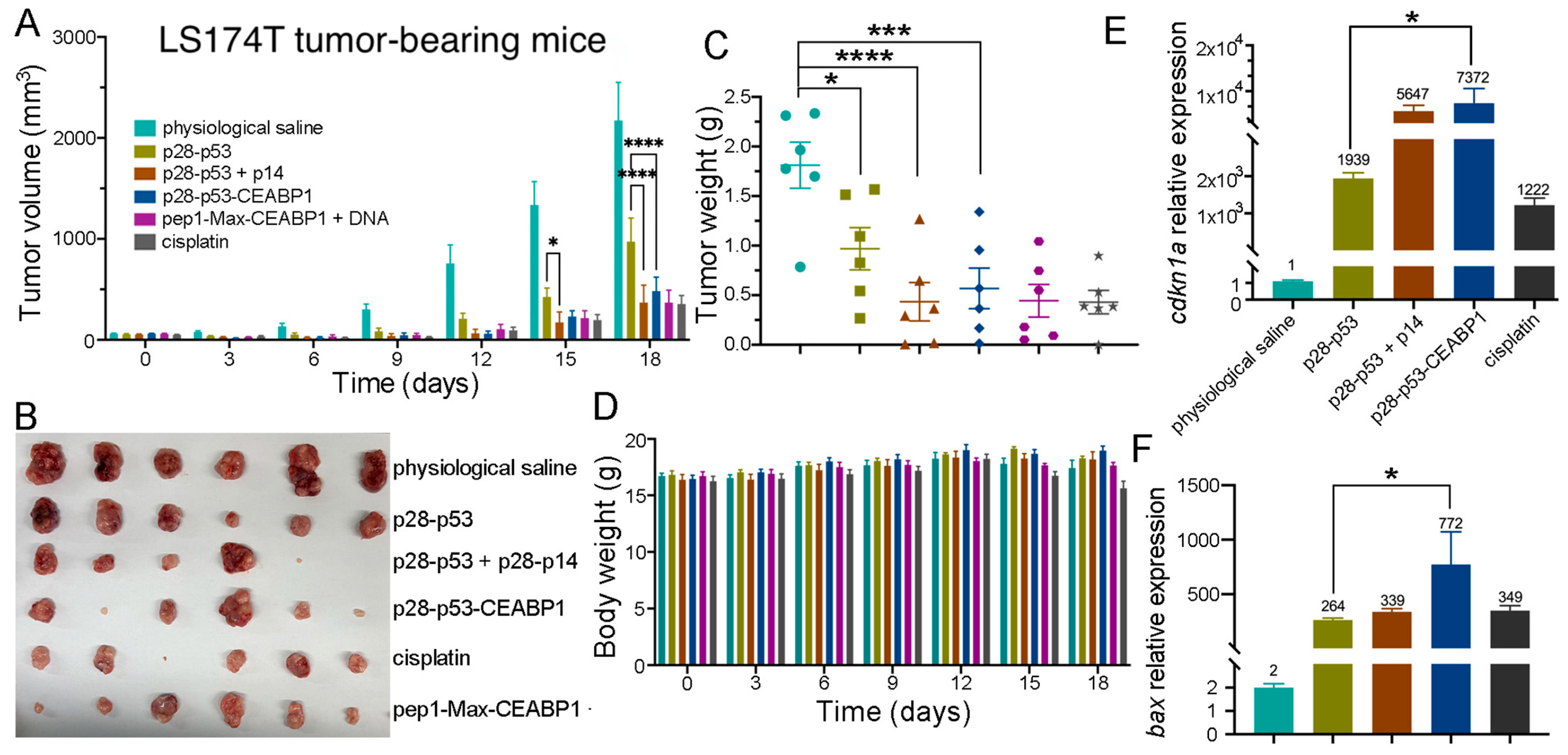 Ijms 26 09846 g007 Ijms 26 09846 g007