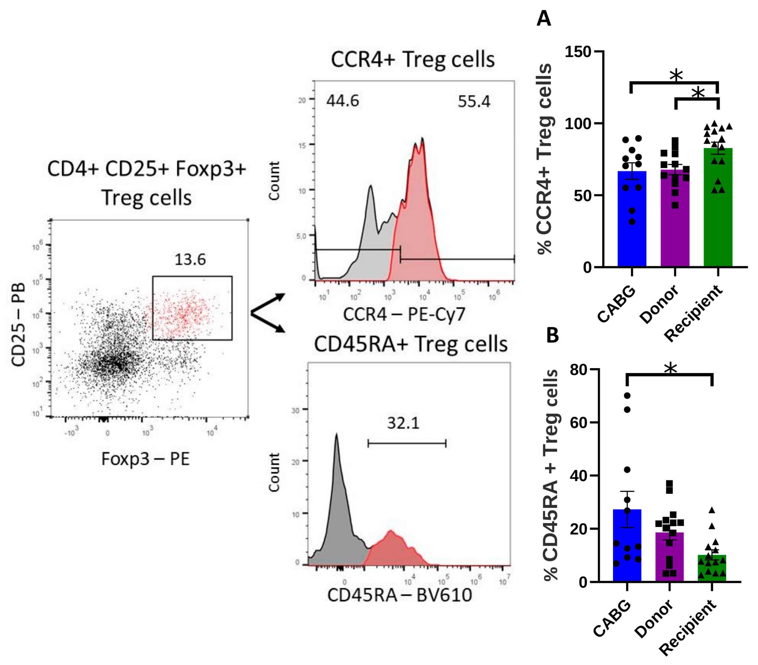 Ijms 26 09852 g002 Ijms 26 09852 g002