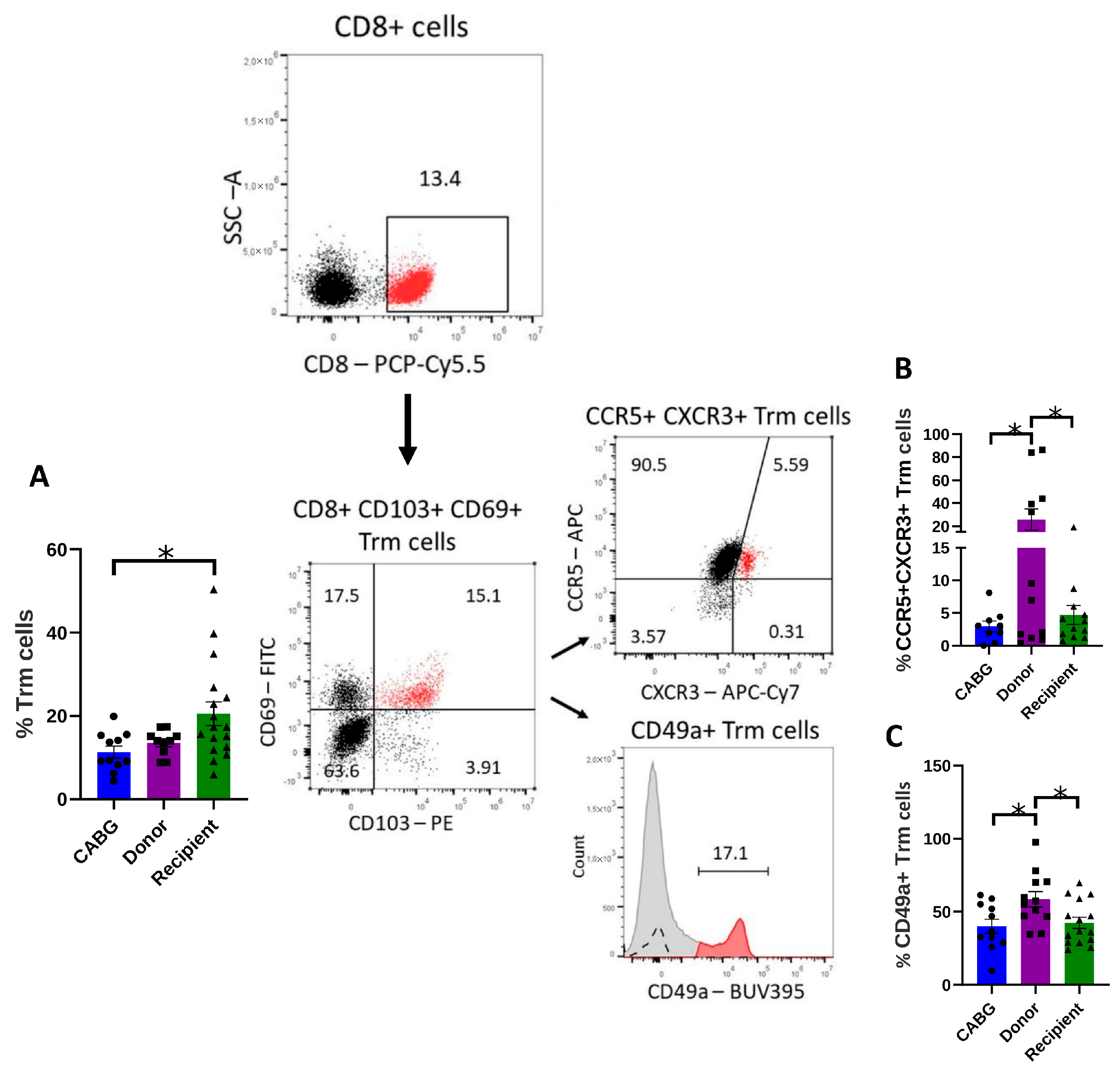 Ijms 26 09852 g003 Ijms 26 09852 g003