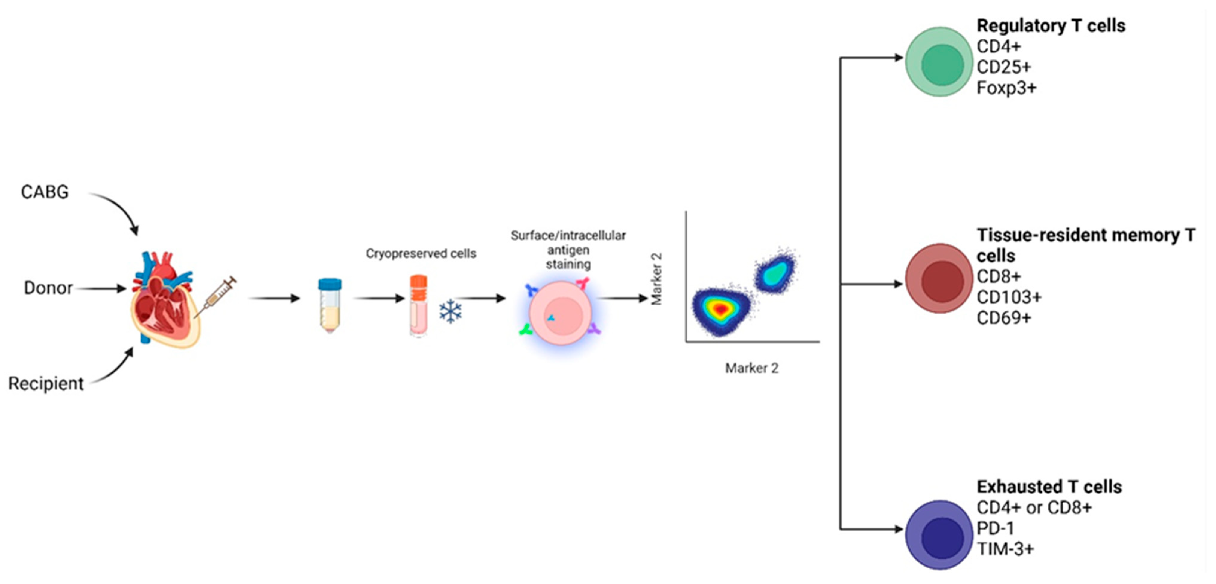 Ijms 26 09852 g005 Ijms 26 09852 g005