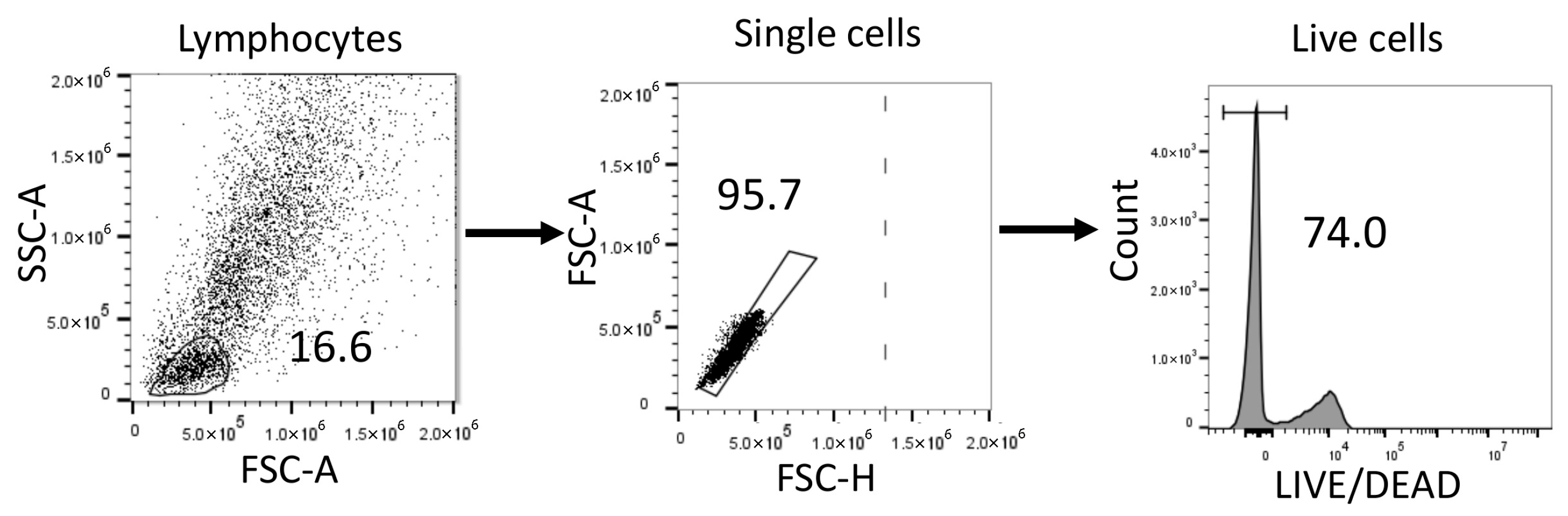 Ijms 26 09852 g006 Ijms 26 09852 g006