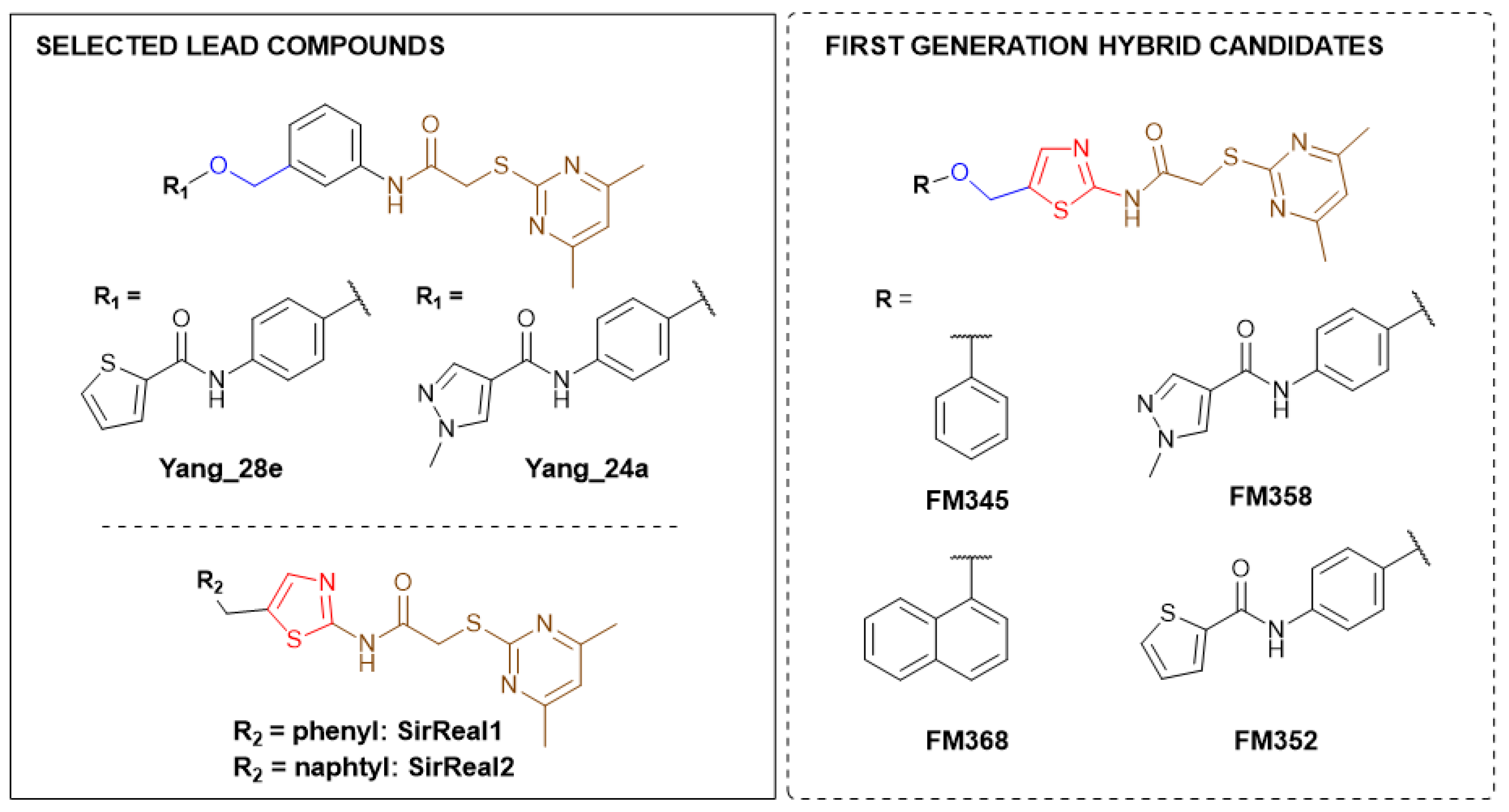 Ijms 26 09855 sch001