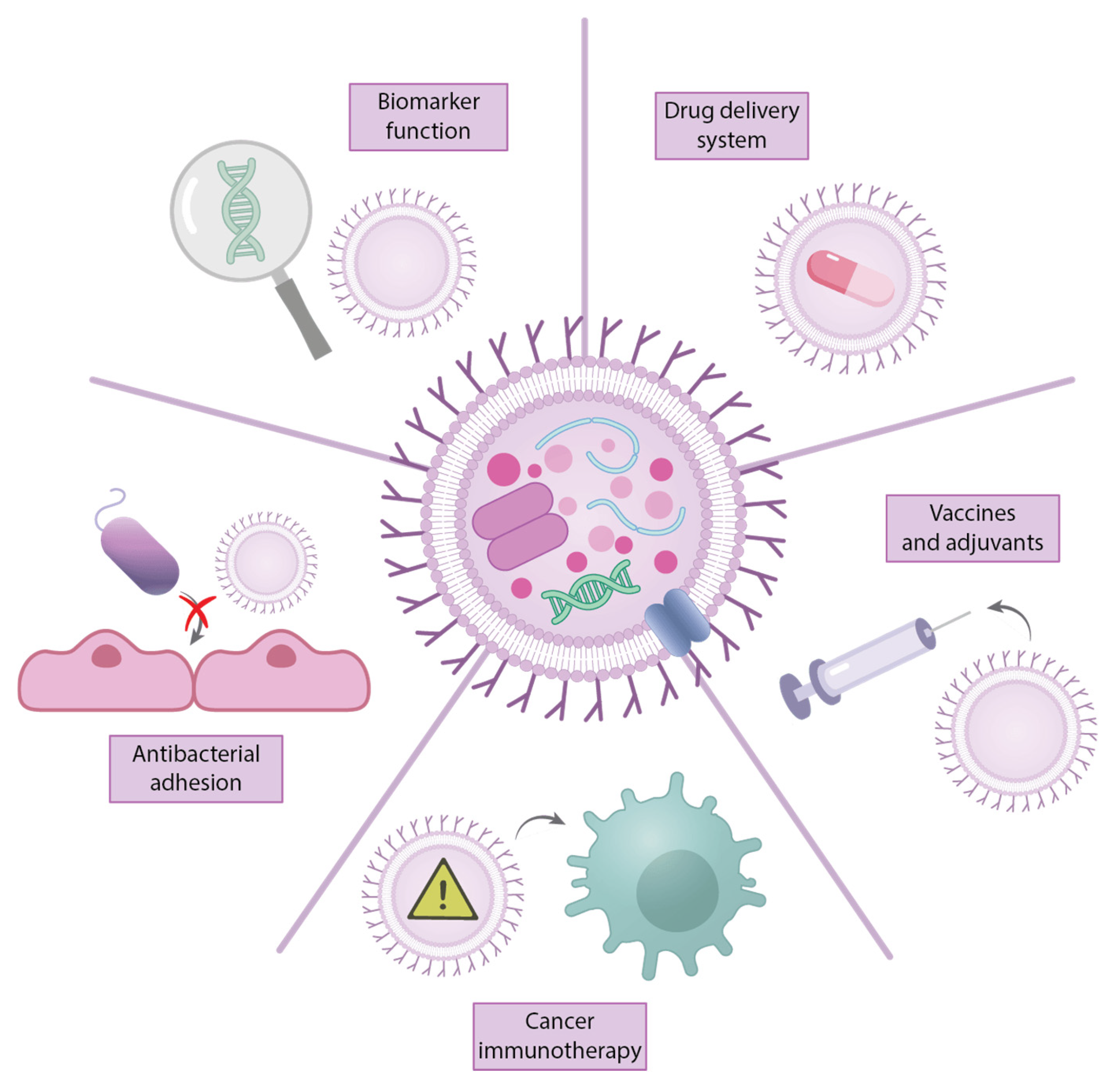 Ijms 26 09857 g003 Ijms 26 09857 g003