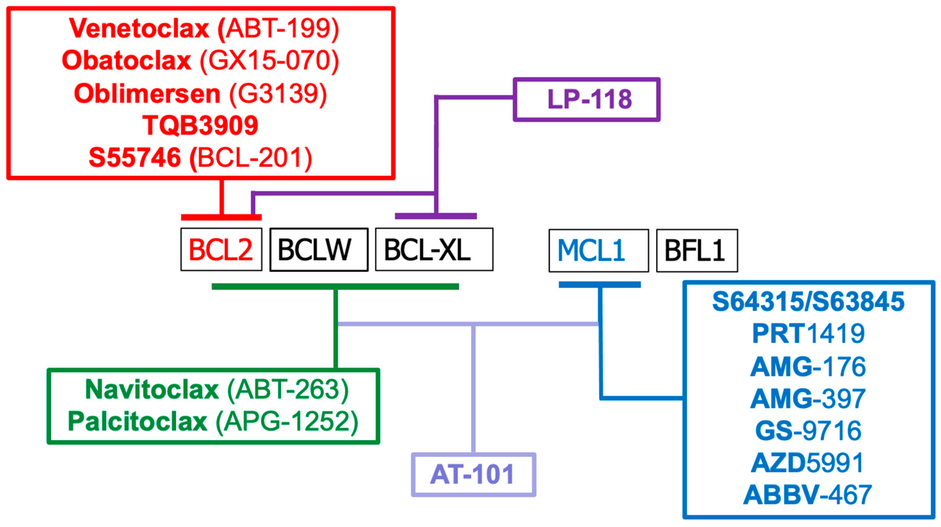Ijms 26 09859 g002 Ijms 26 09859 g002