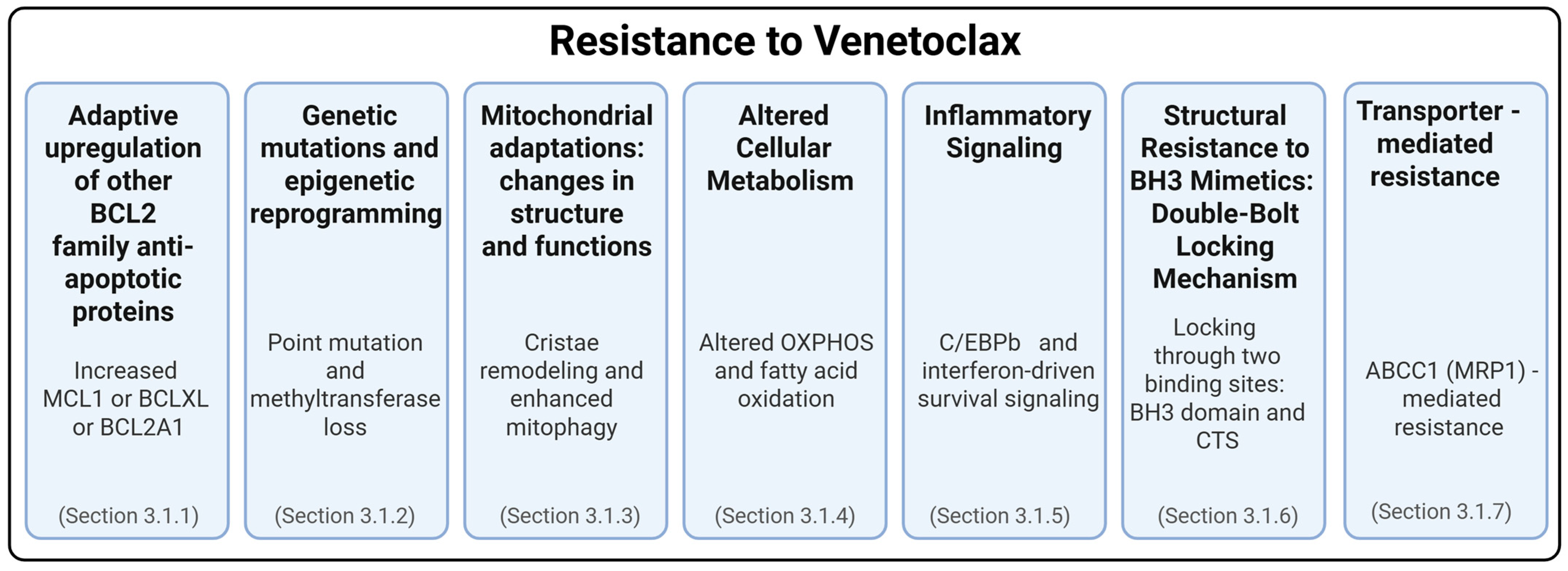 Ijms 26 09859 g003 Ijms 26 09859 g003