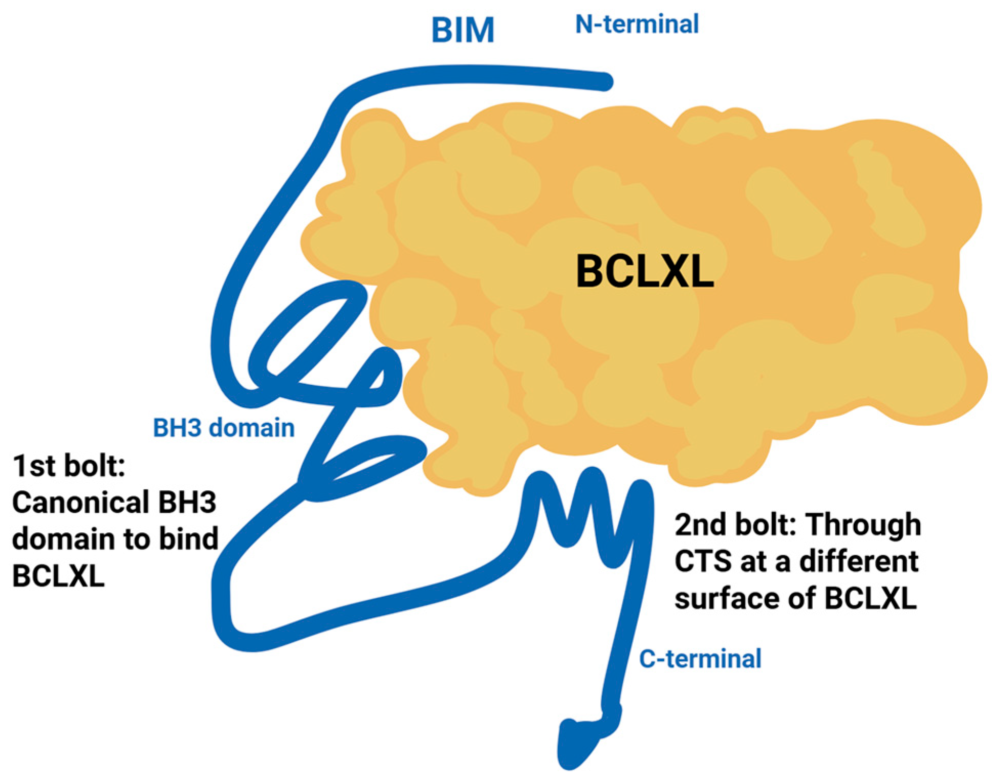 Ijms 26 09859 g004 Ijms 26 09859 g004