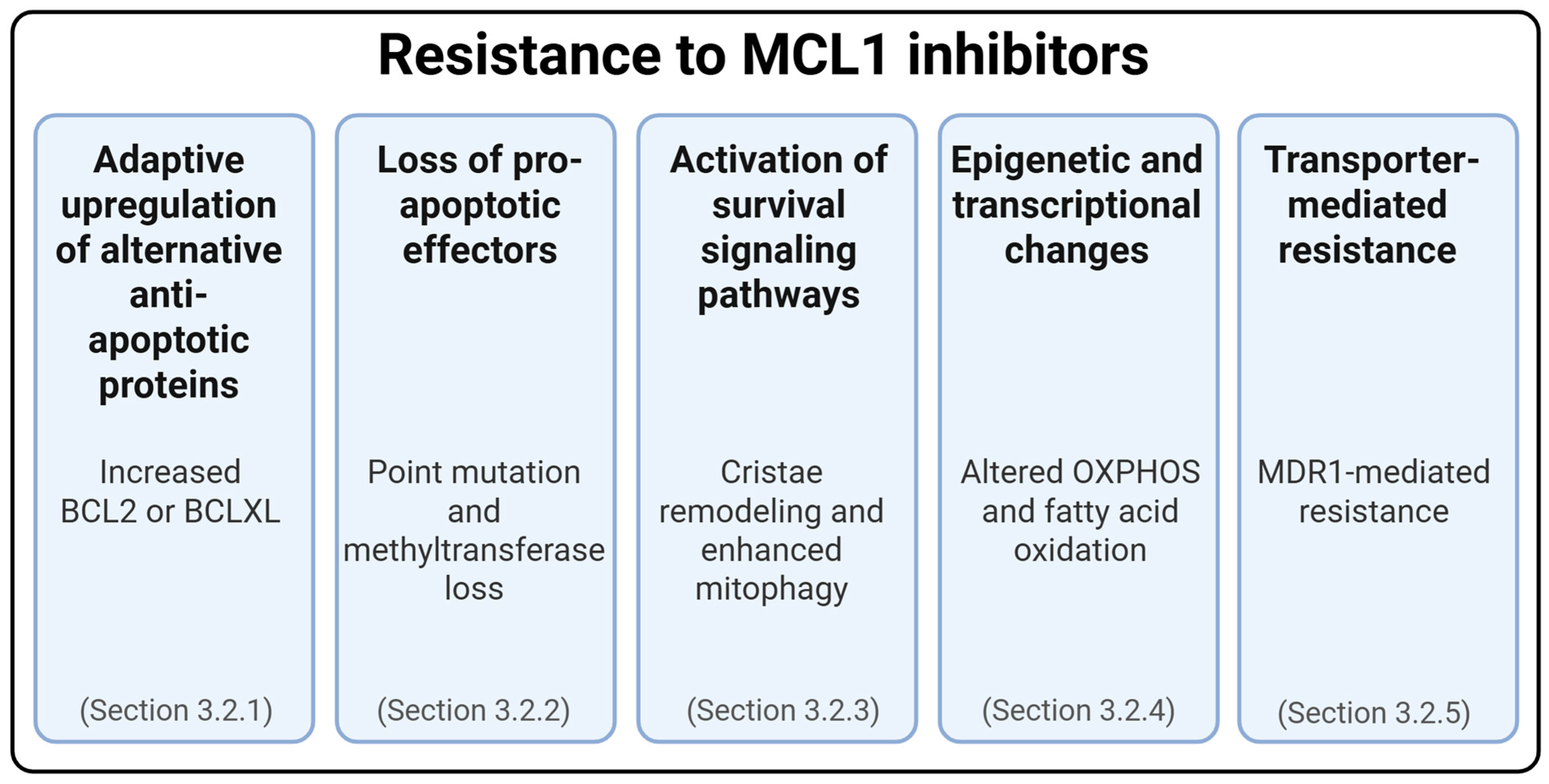 Ijms 26 09859 g005 Ijms 26 09859 g005
