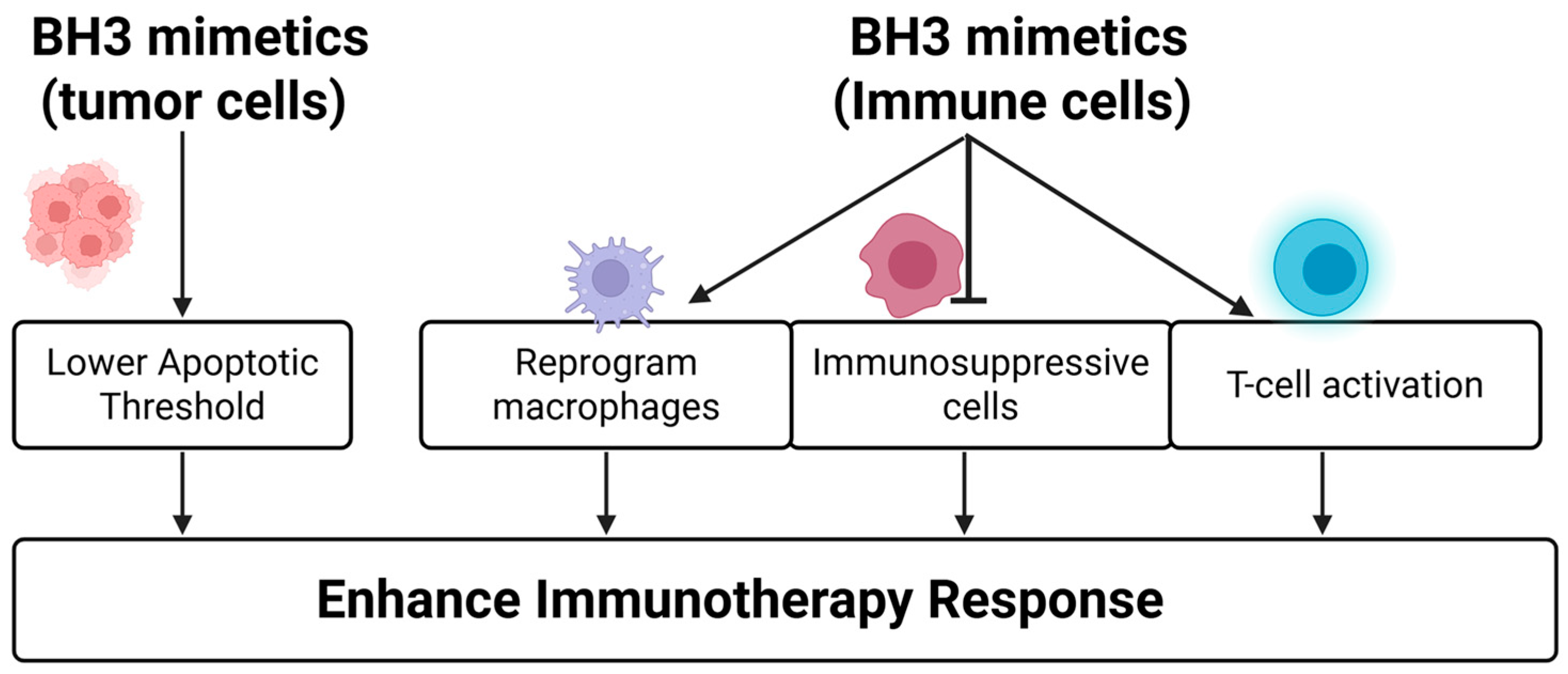Ijms 26 09859 g007 Ijms 26 09859 g007