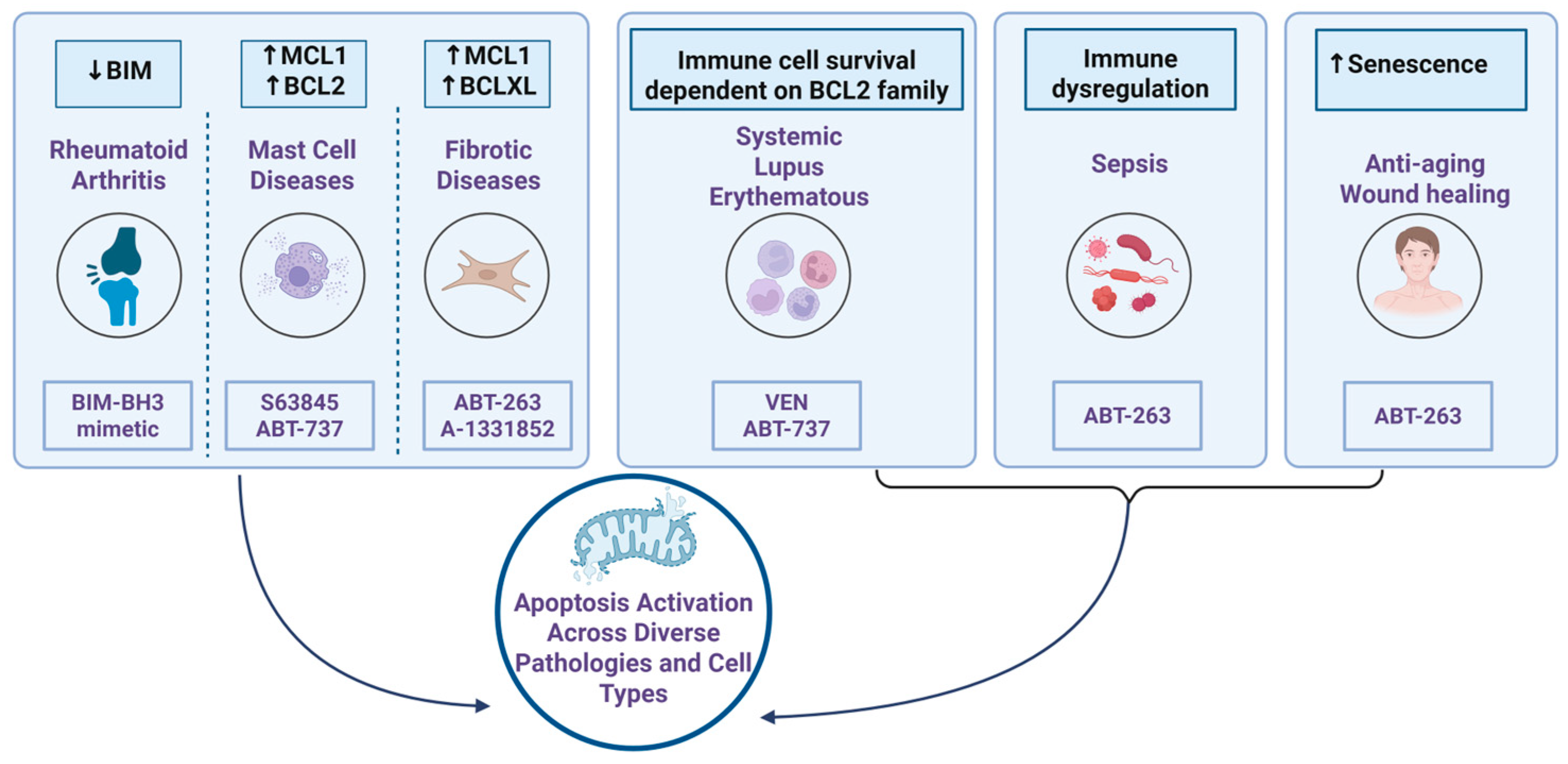 Ijms 26 09859 g008 Ijms 26 09859 g008