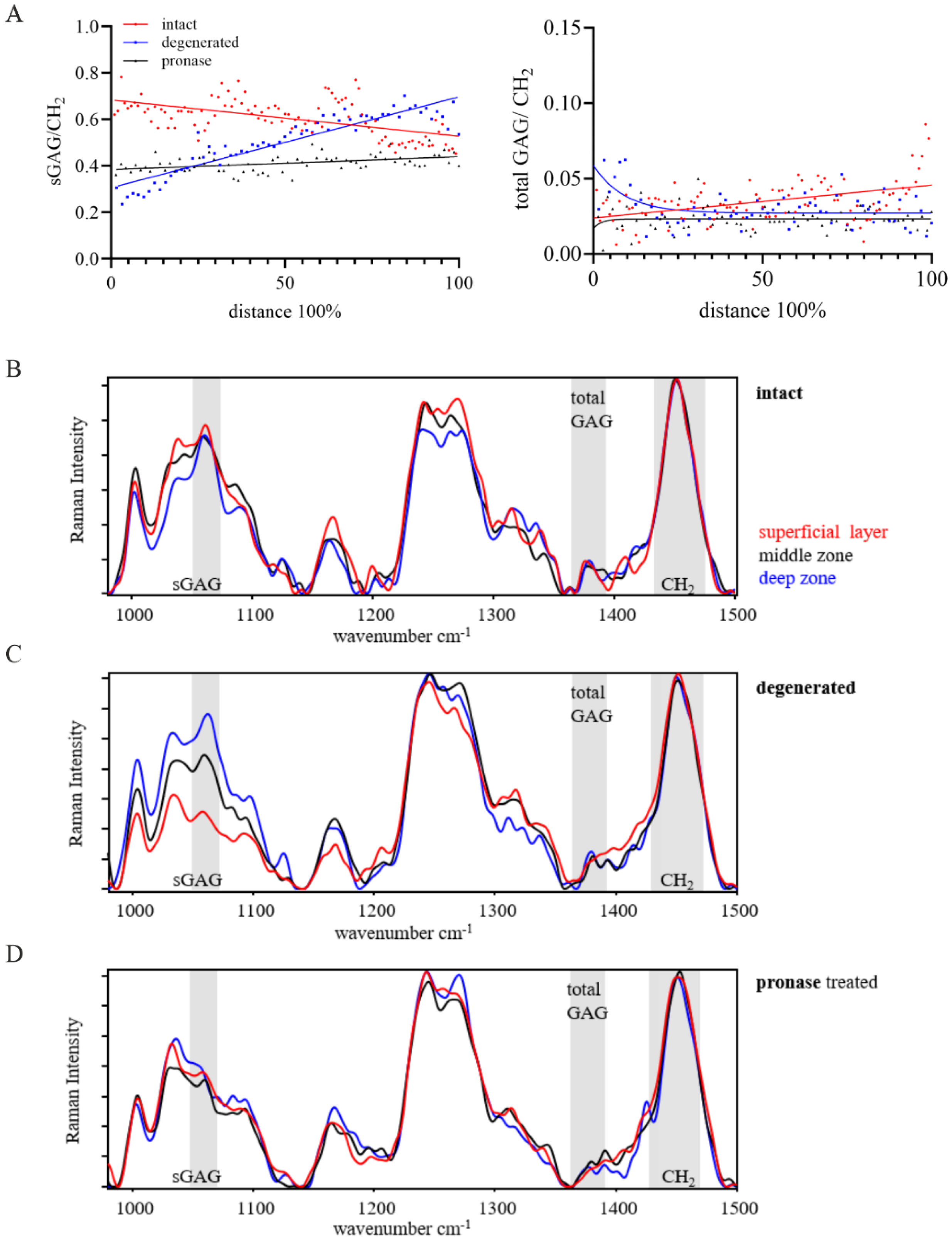 Ijms 26 09875 g003 Ijms 26 09875 g003