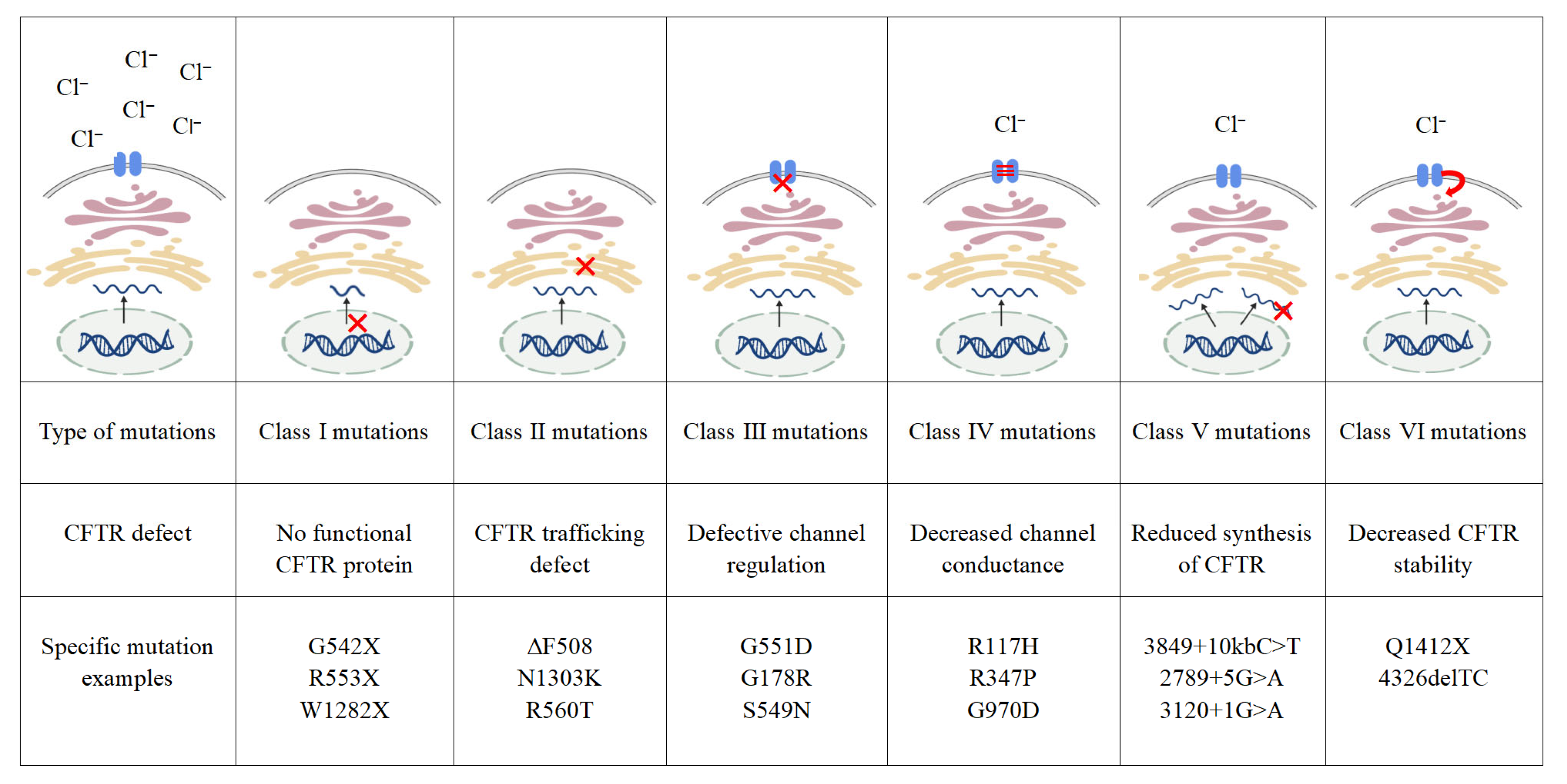 Ijms 26 09876 g001 Ijms 26 09876 g001