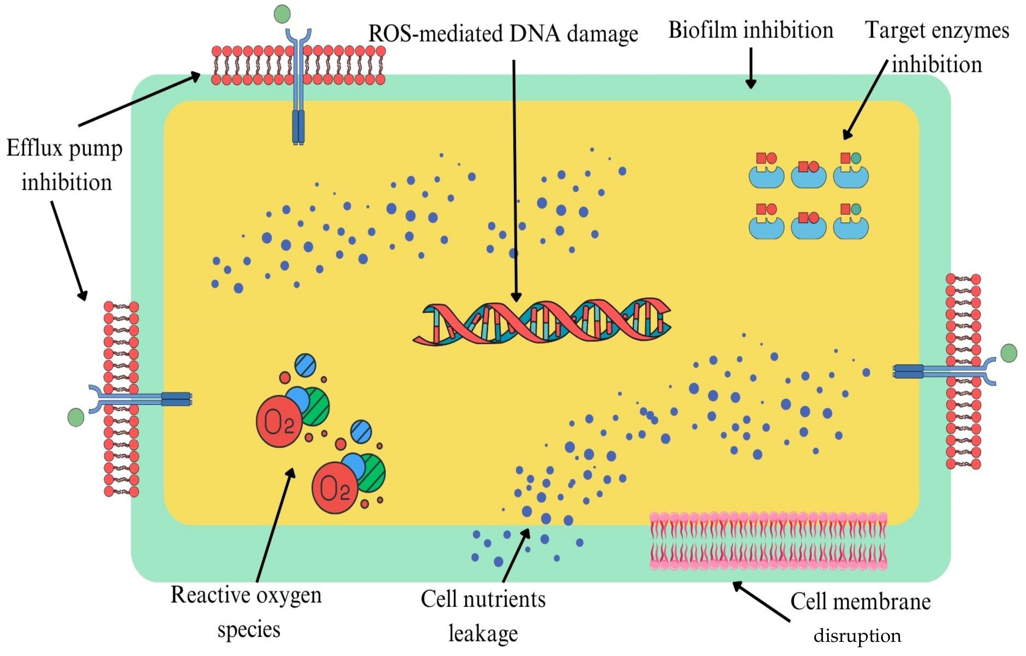 Ijms 26 09880 g001 Ijms 26 09880 g001