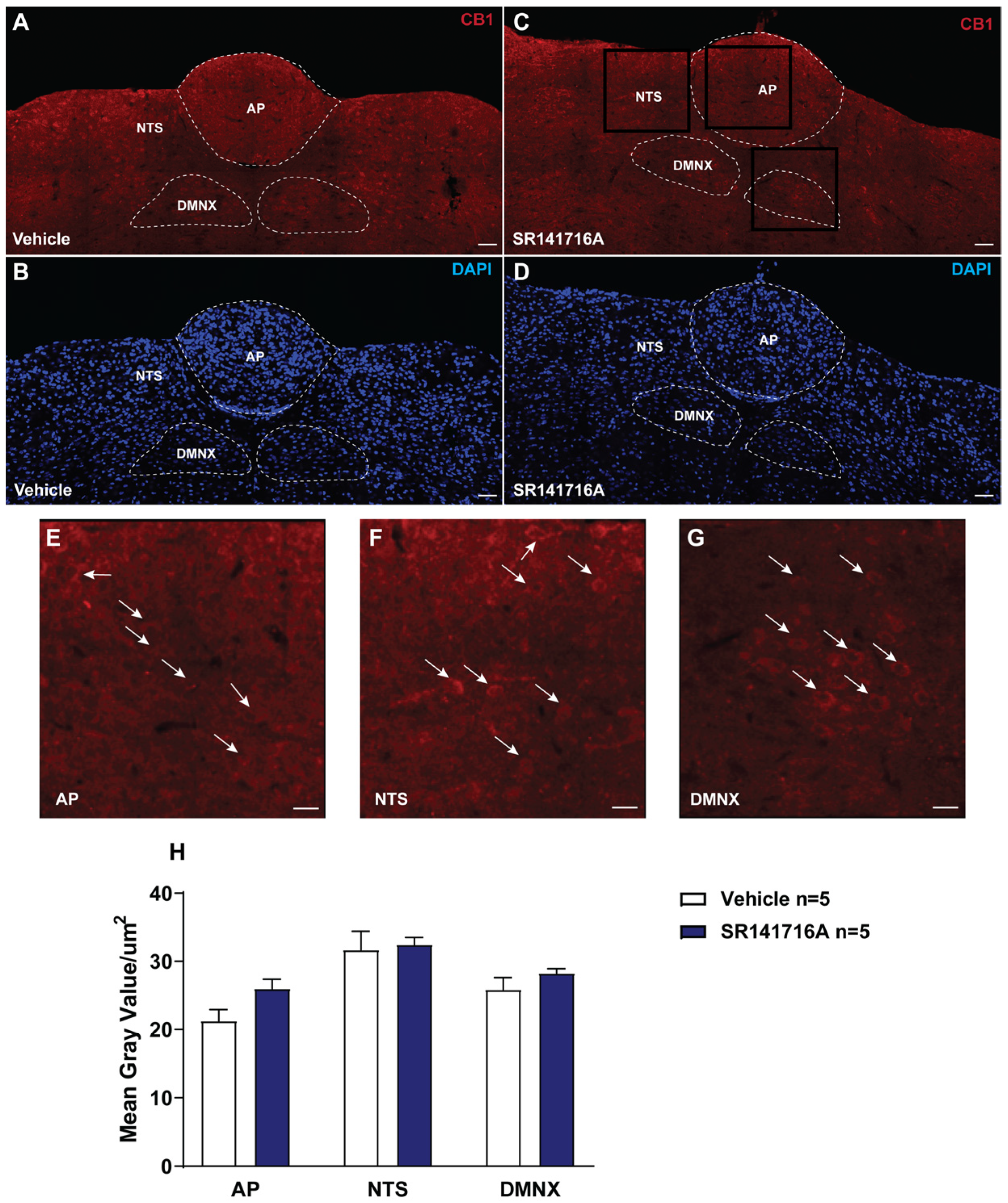 Ijms 26 09884 g001 Ijms 26 09884 g001