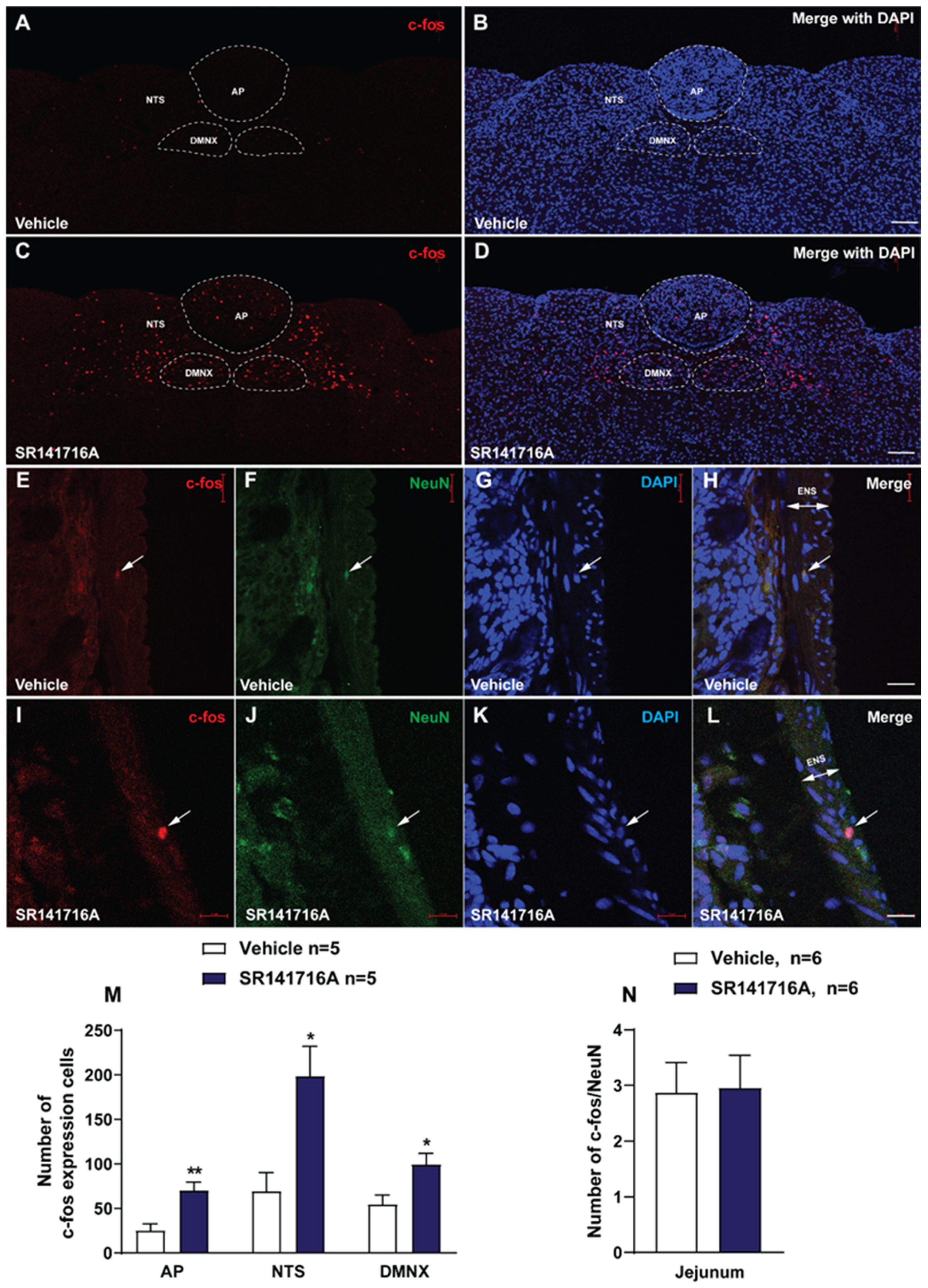 Ijms 26 09884 g002 Ijms 26 09884 g002