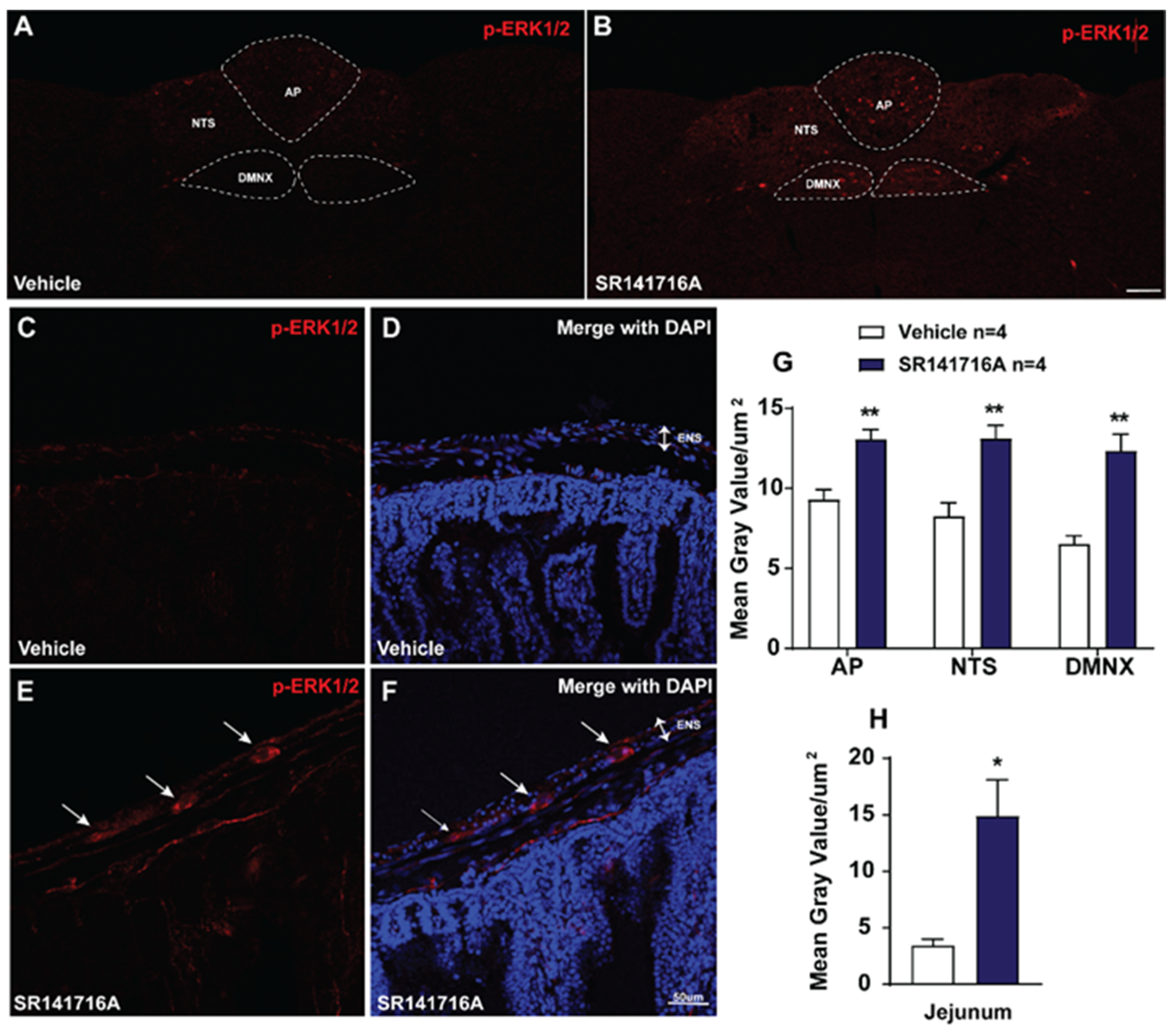Ijms 26 09884 g003 Ijms 26 09884 g003