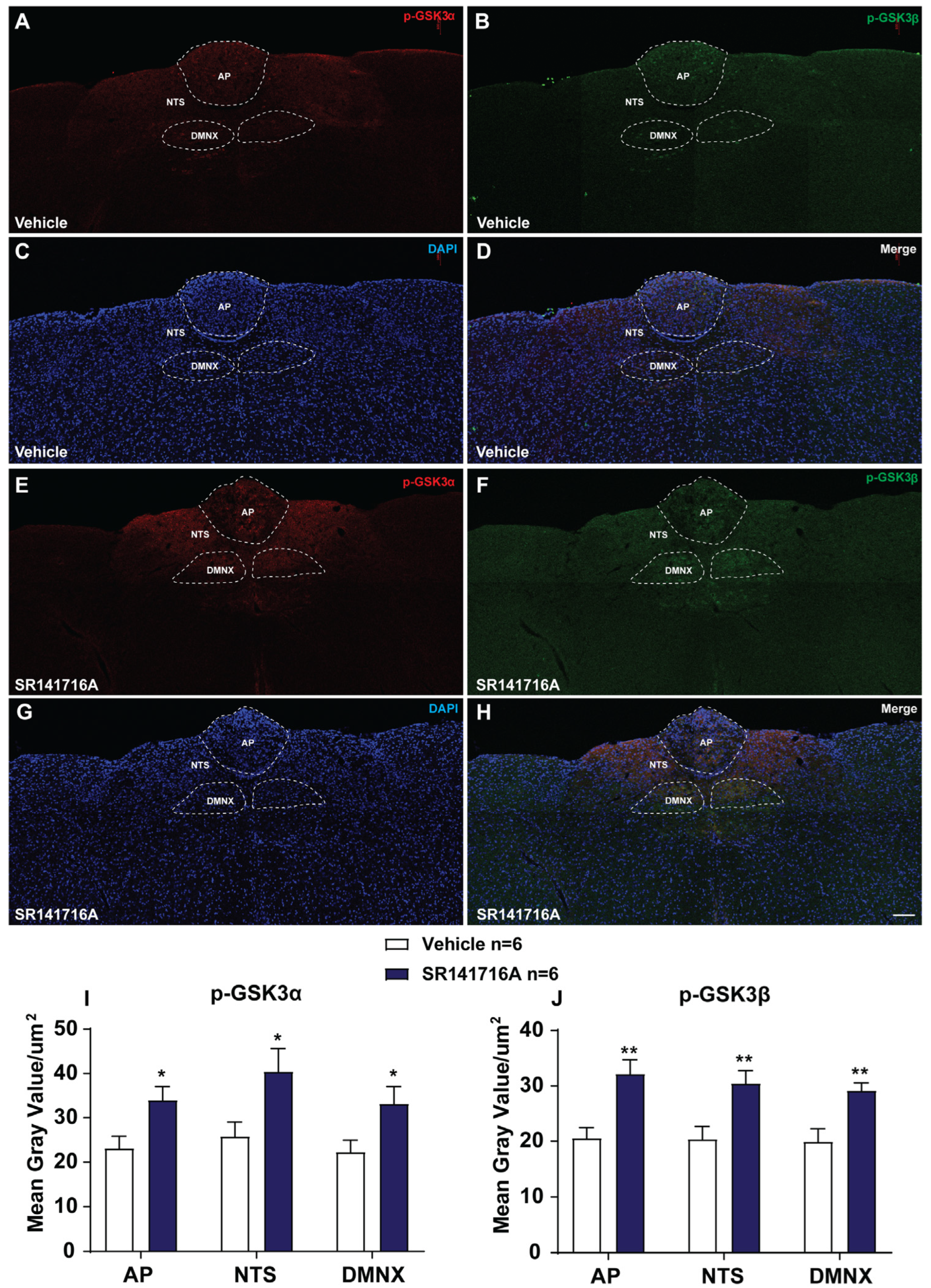 Ijms 26 09884 g004 Ijms 26 09884 g004