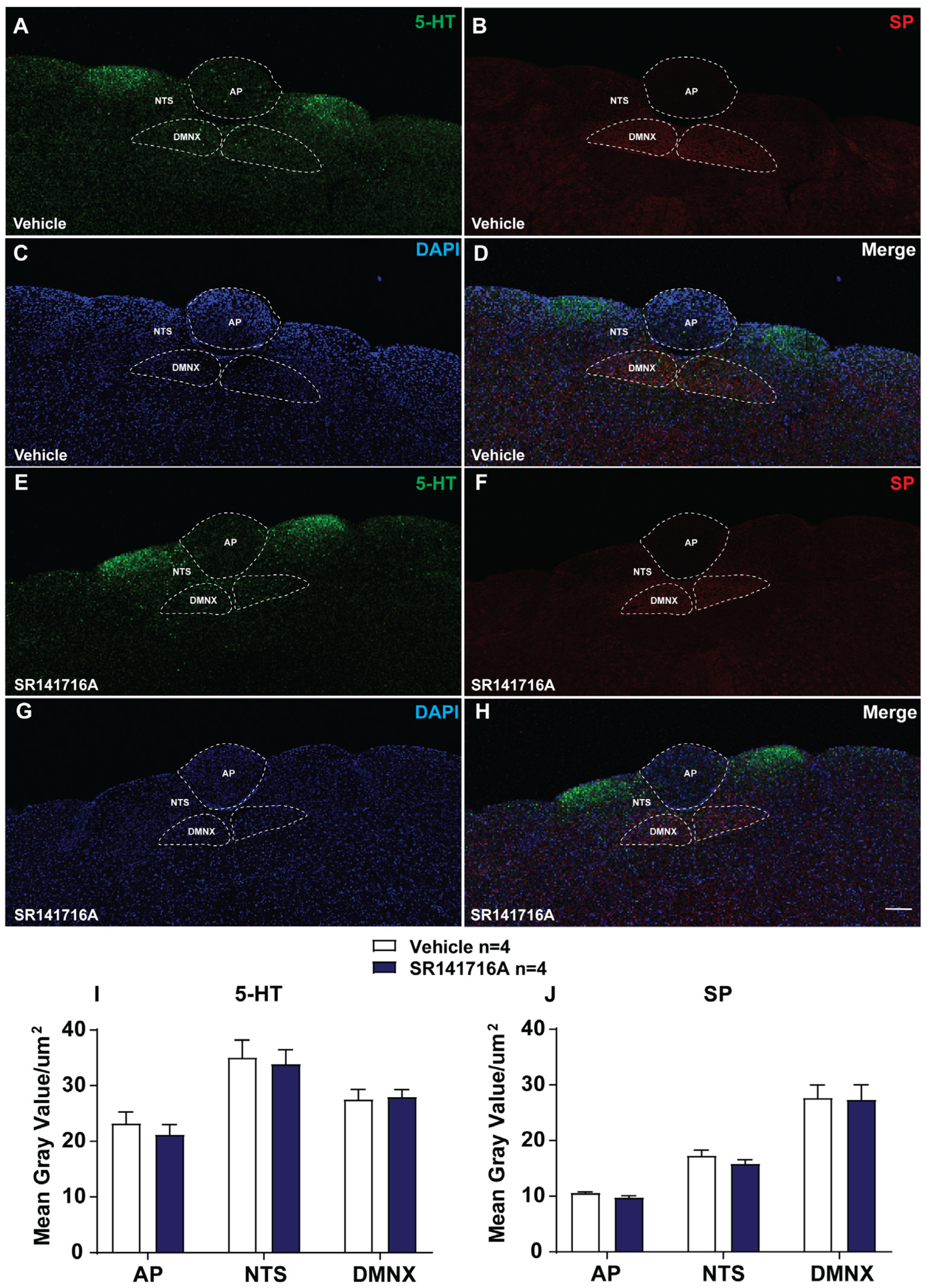 Ijms 26 09884 g005 Ijms 26 09884 g005