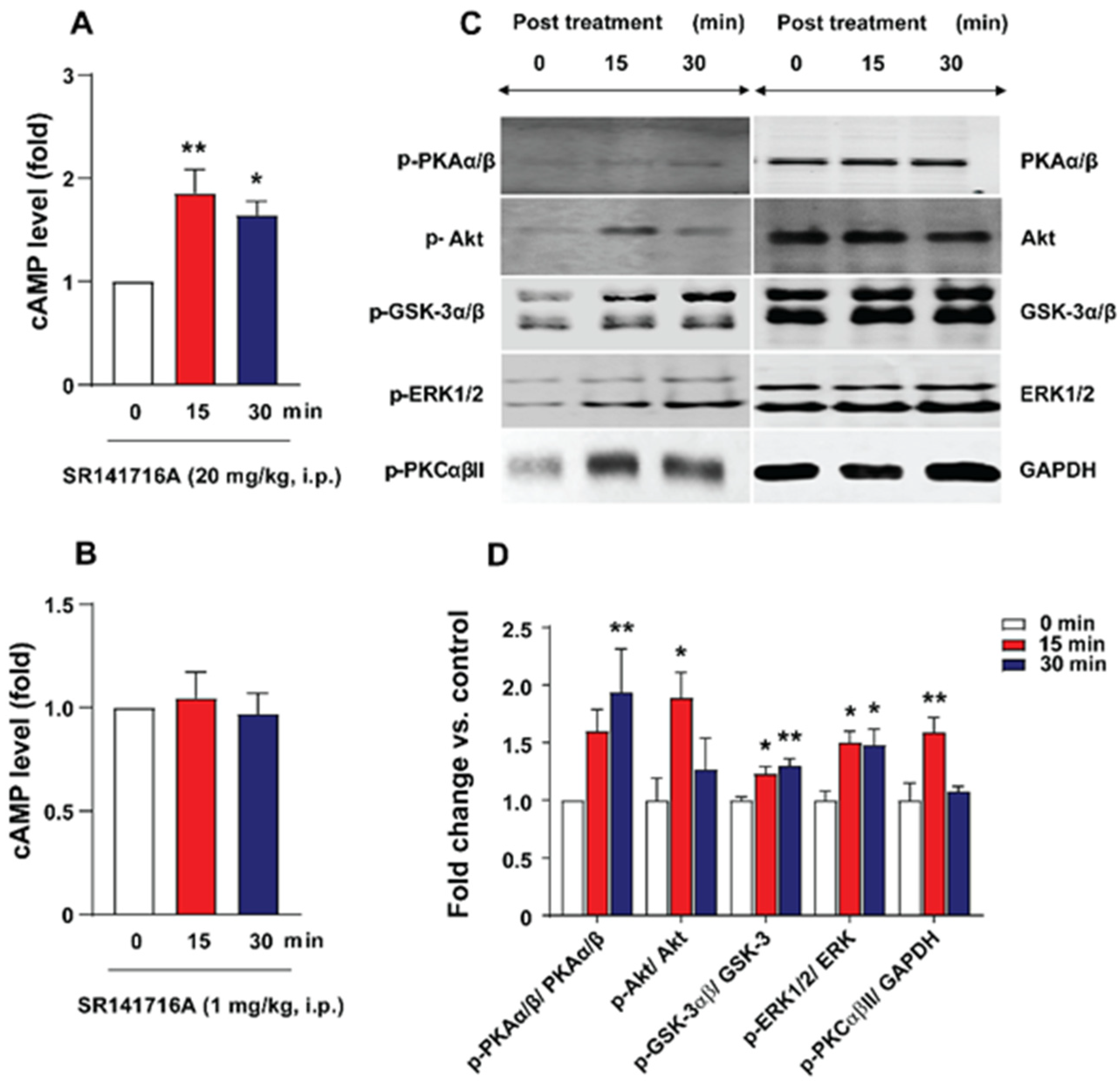 Ijms 26 09884 g006 Ijms 26 09884 g006