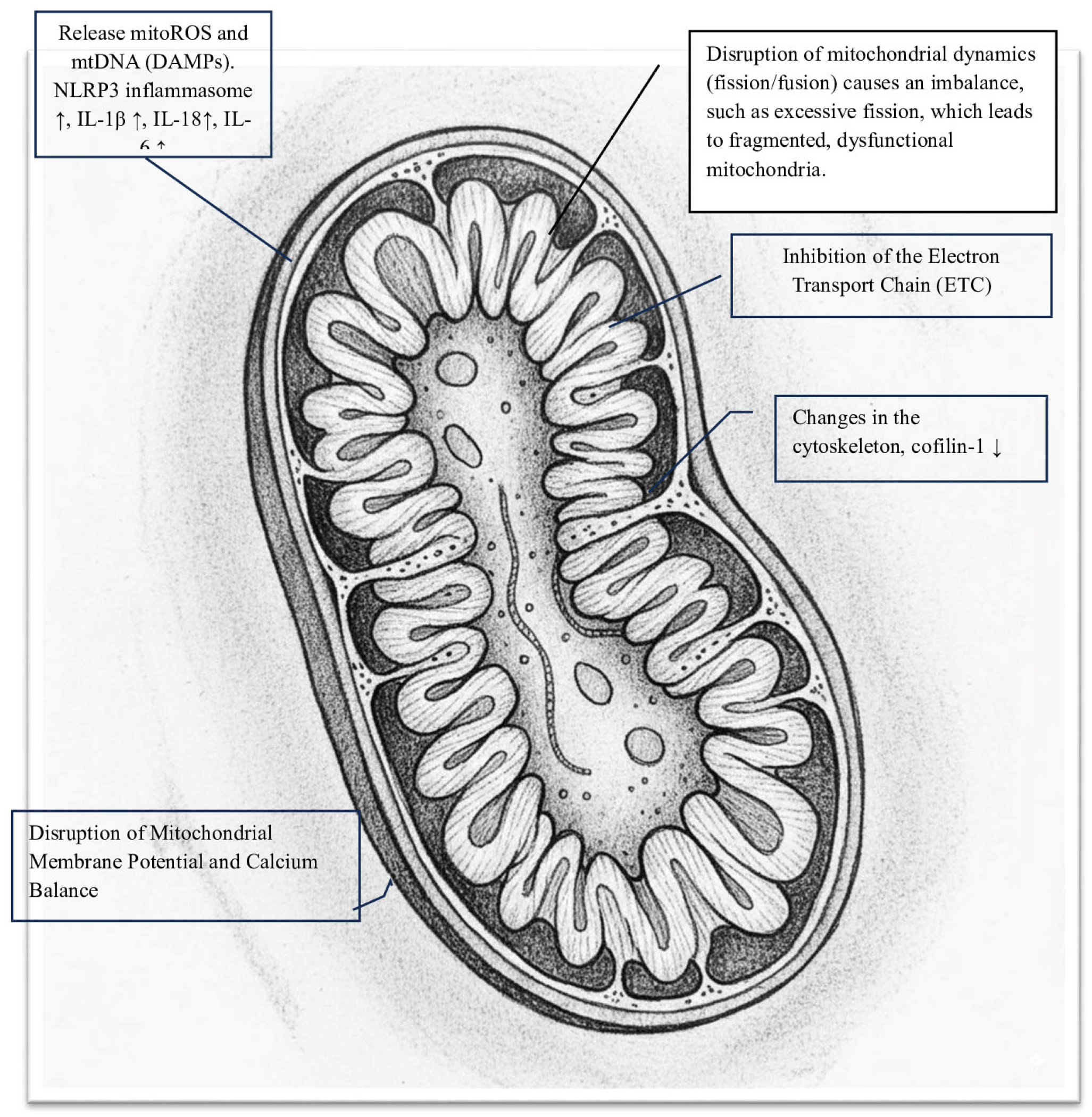 Ijms 26 09885 g001 Ijms 26 09885 g001