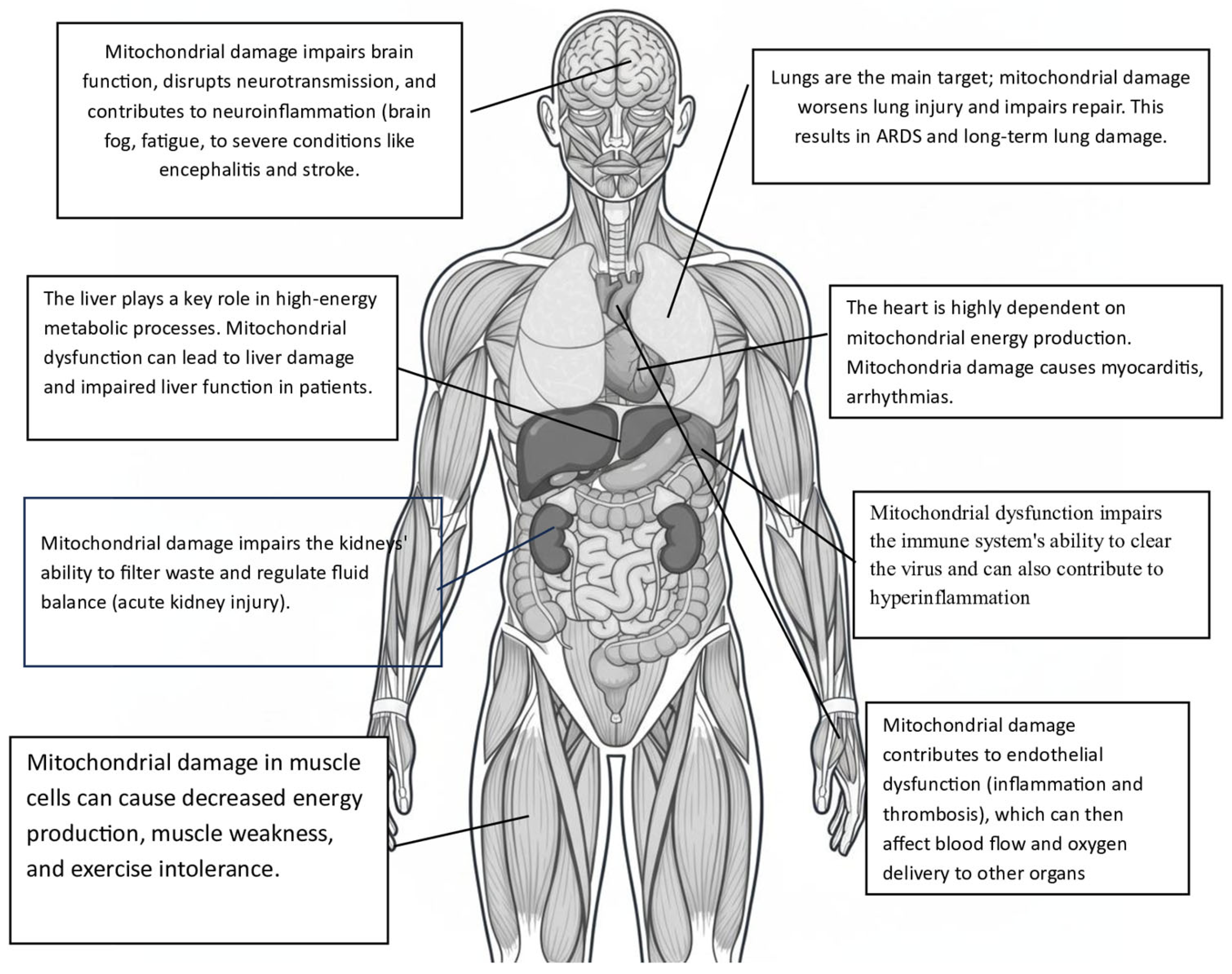 Ijms 26 09885 g002 Ijms 26 09885 g002