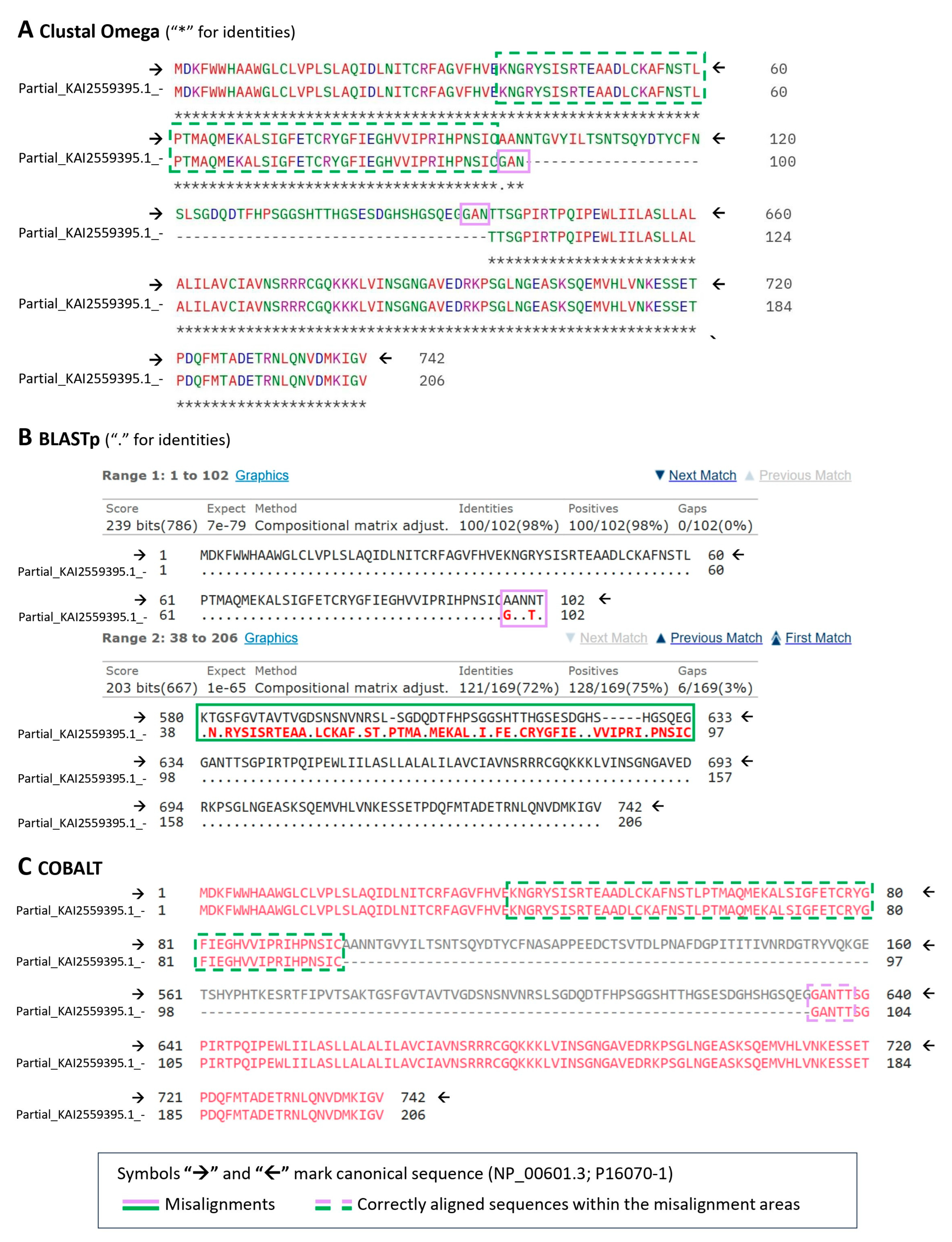 Ijms 26 09886 g006 Ijms 26 09886 g006