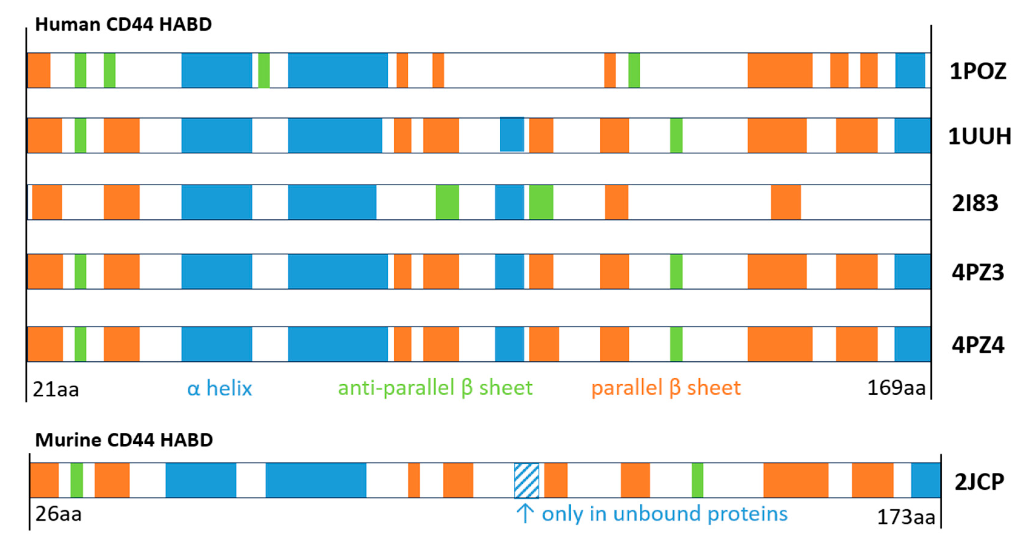 Ijms 26 09886 g007 Ijms 26 09886 g007