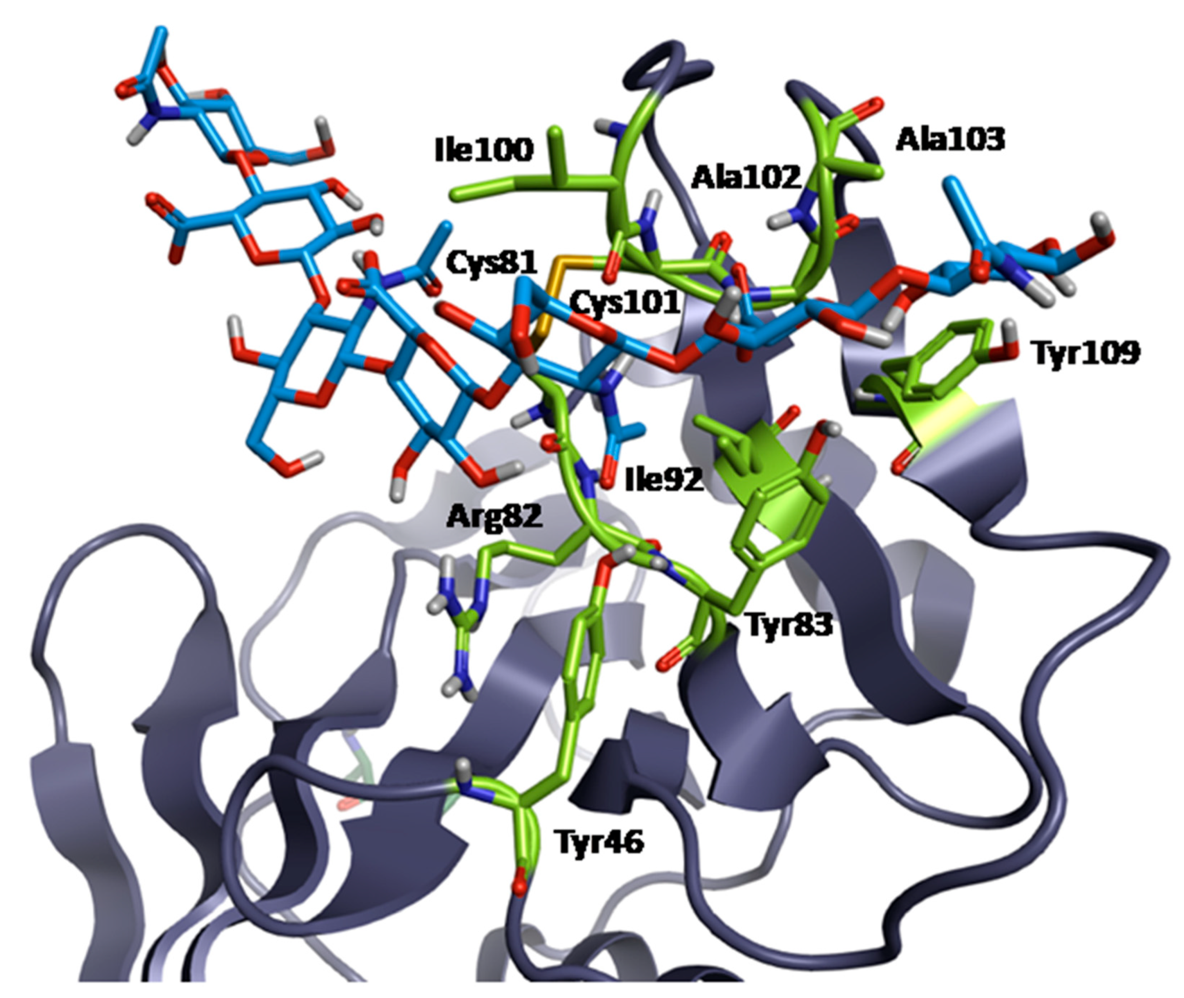 Ijms 26 09886 g008 Ijms 26 09886 g008