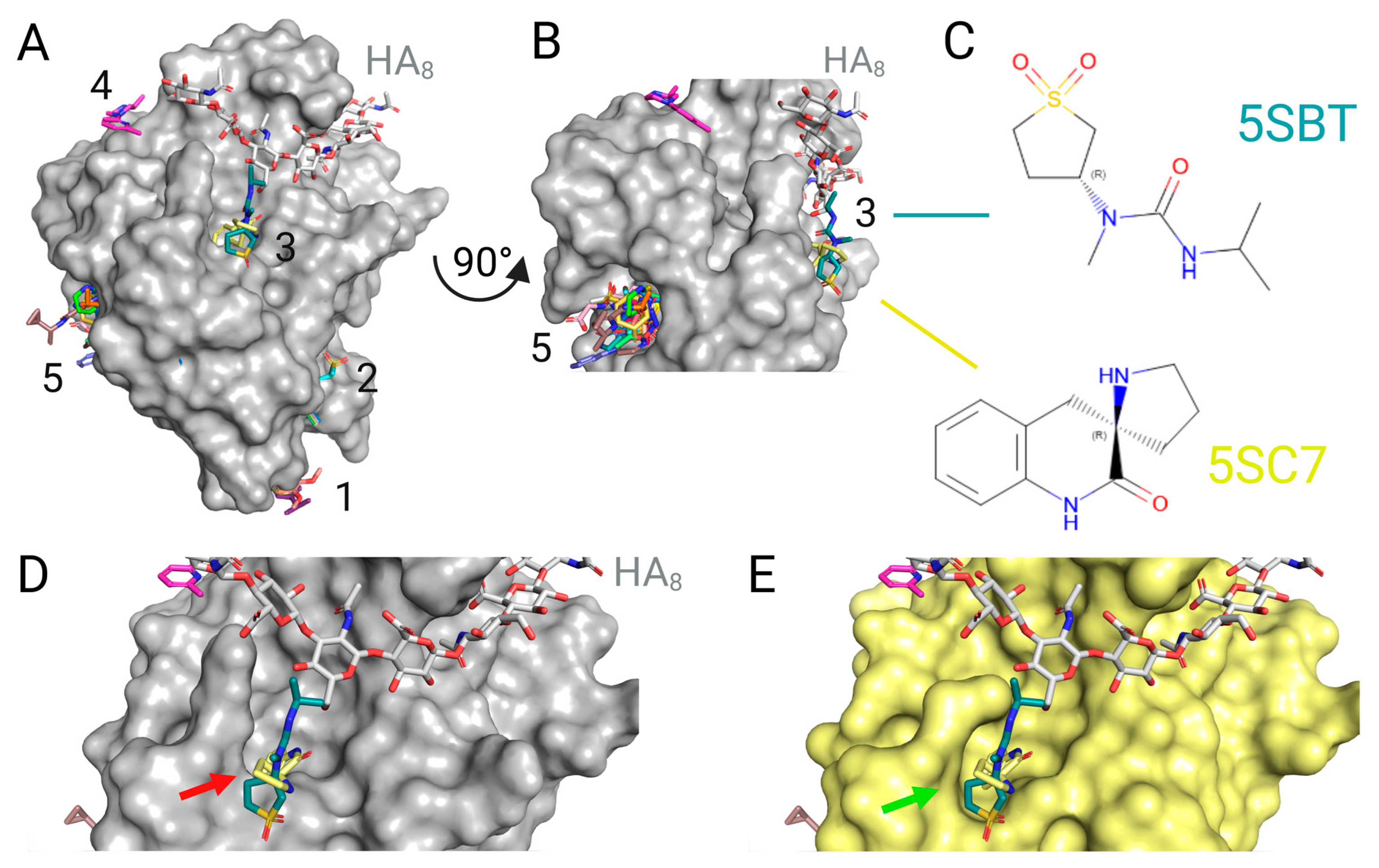 Ijms 26 09886 g011 Ijms 26 09886 g011