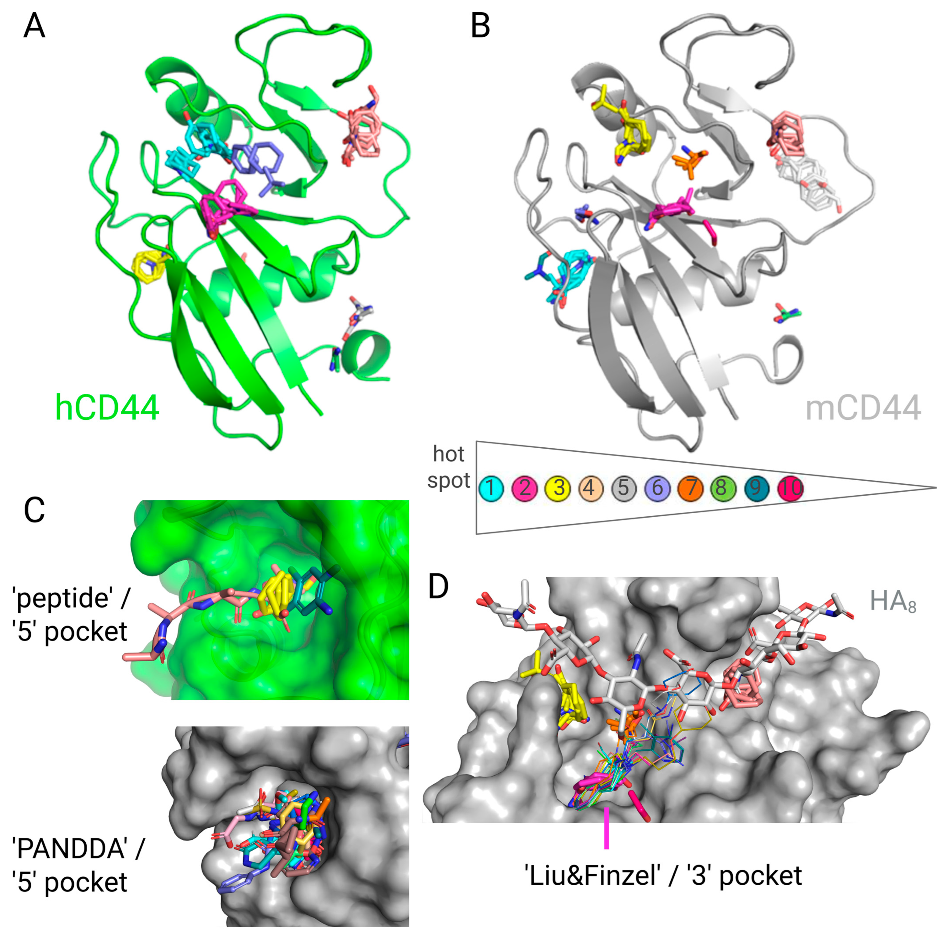 Ijms 26 09886 g012 Ijms 26 09886 g012