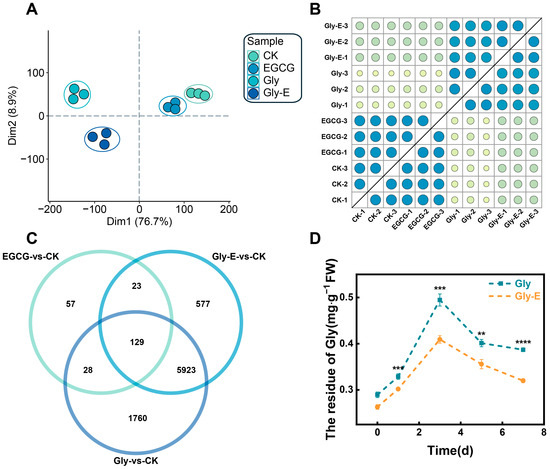 Transcriptomic Insights into the Dual-Modulatory Role of EGCG in