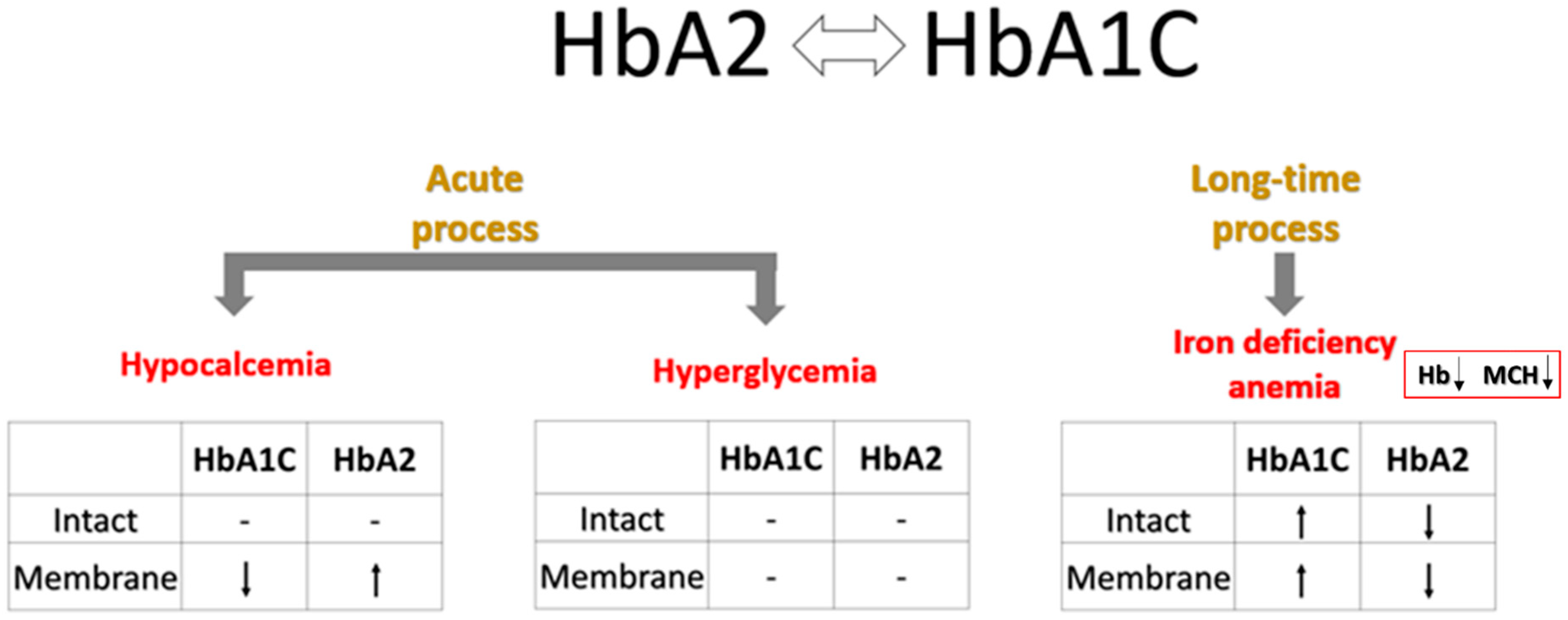 Ijms 26 09890 g004 Ijms 26 09890 g004