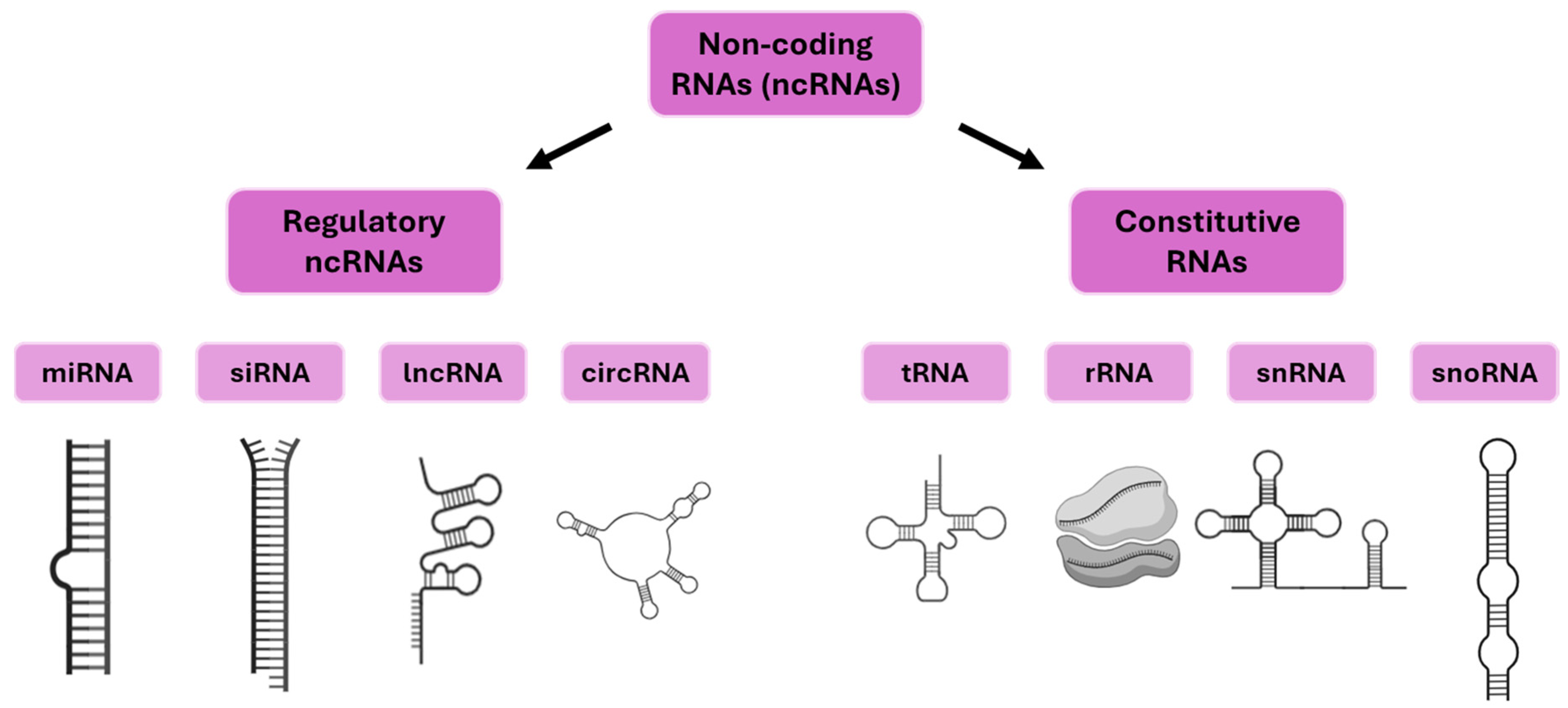Ijms 26 09892 g001 Ijms 26 09892 g001