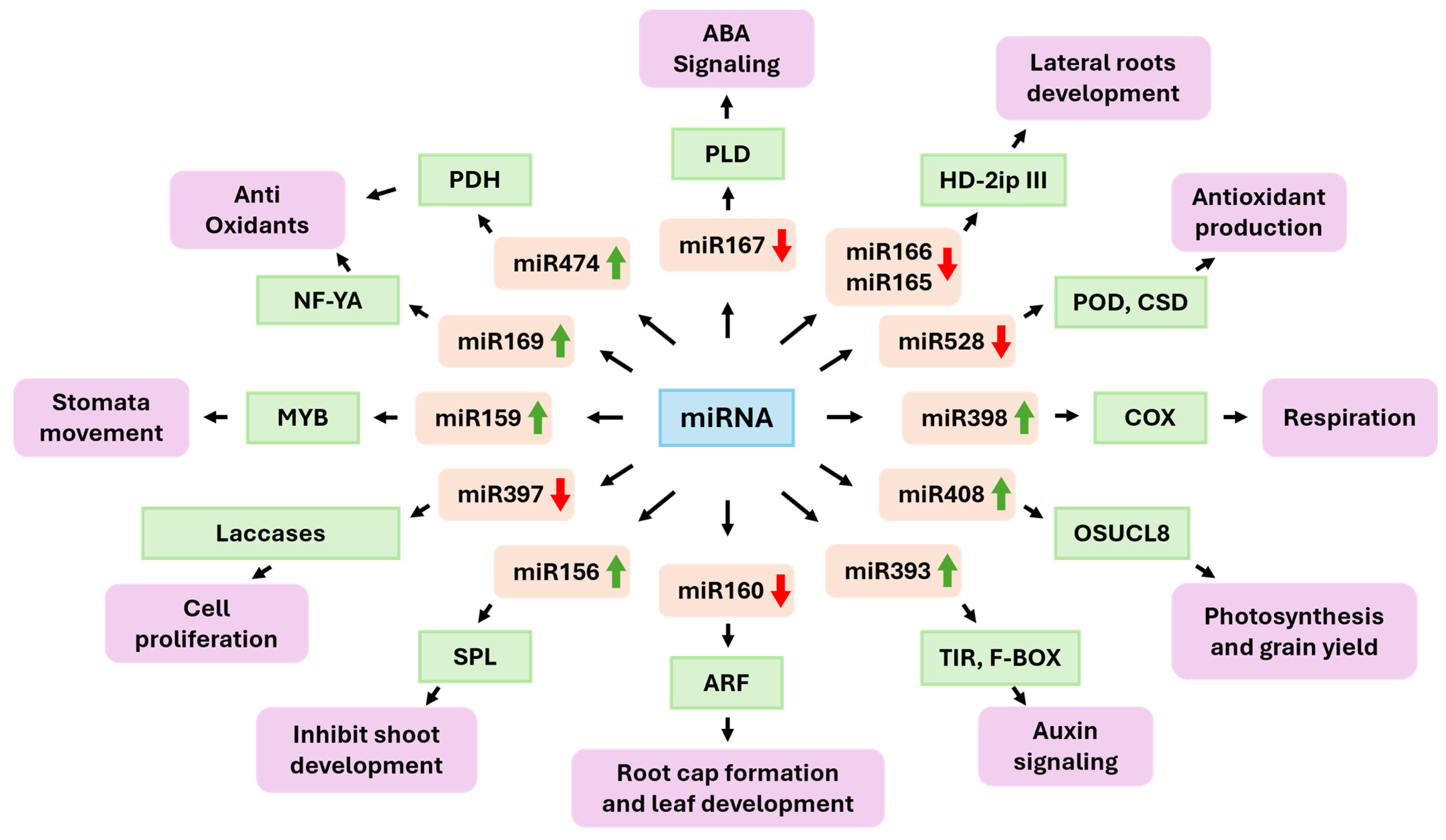 Ijms 26 09892 g002 Ijms 26 09892 g002