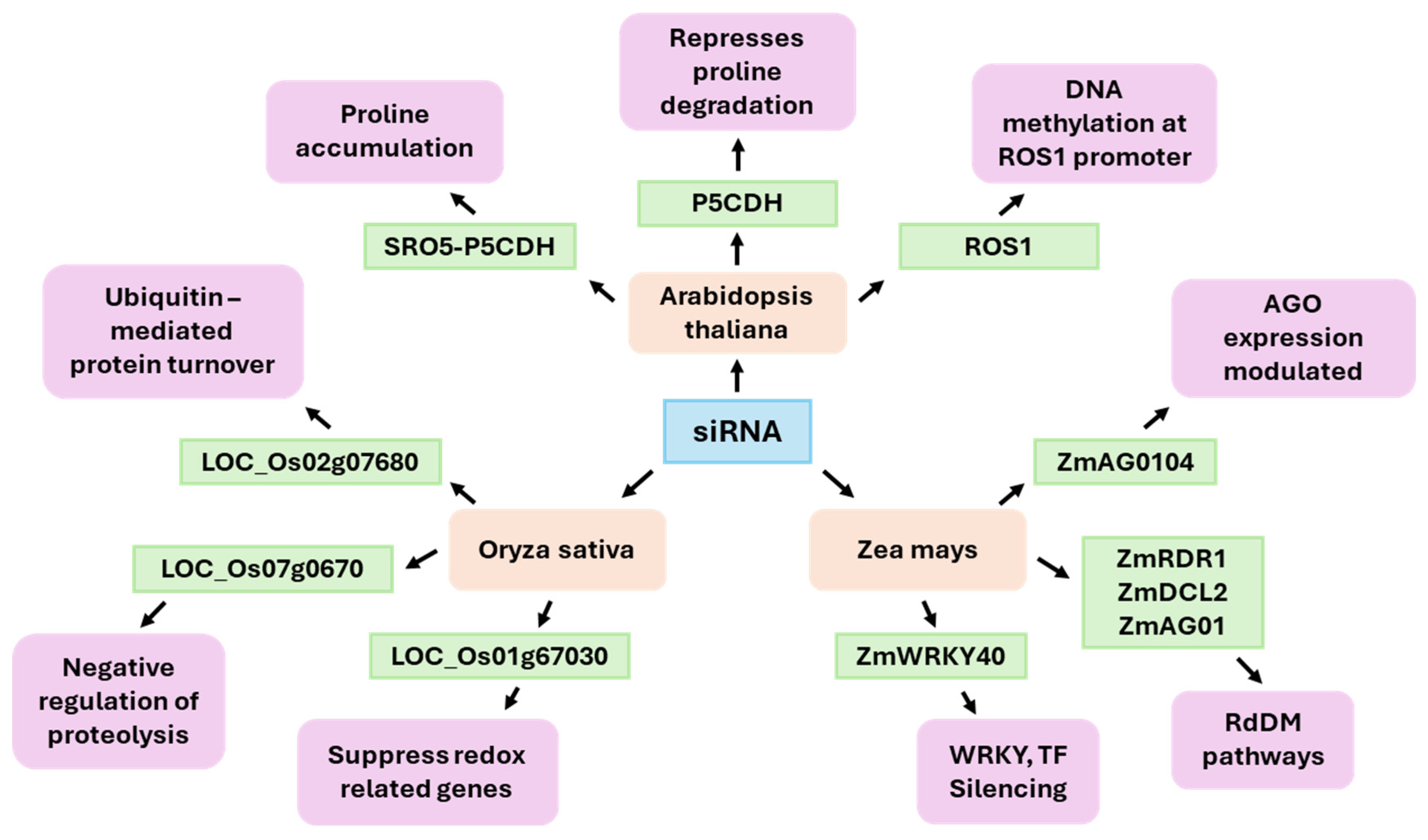 Ijms 26 09892 g003 Ijms 26 09892 g003