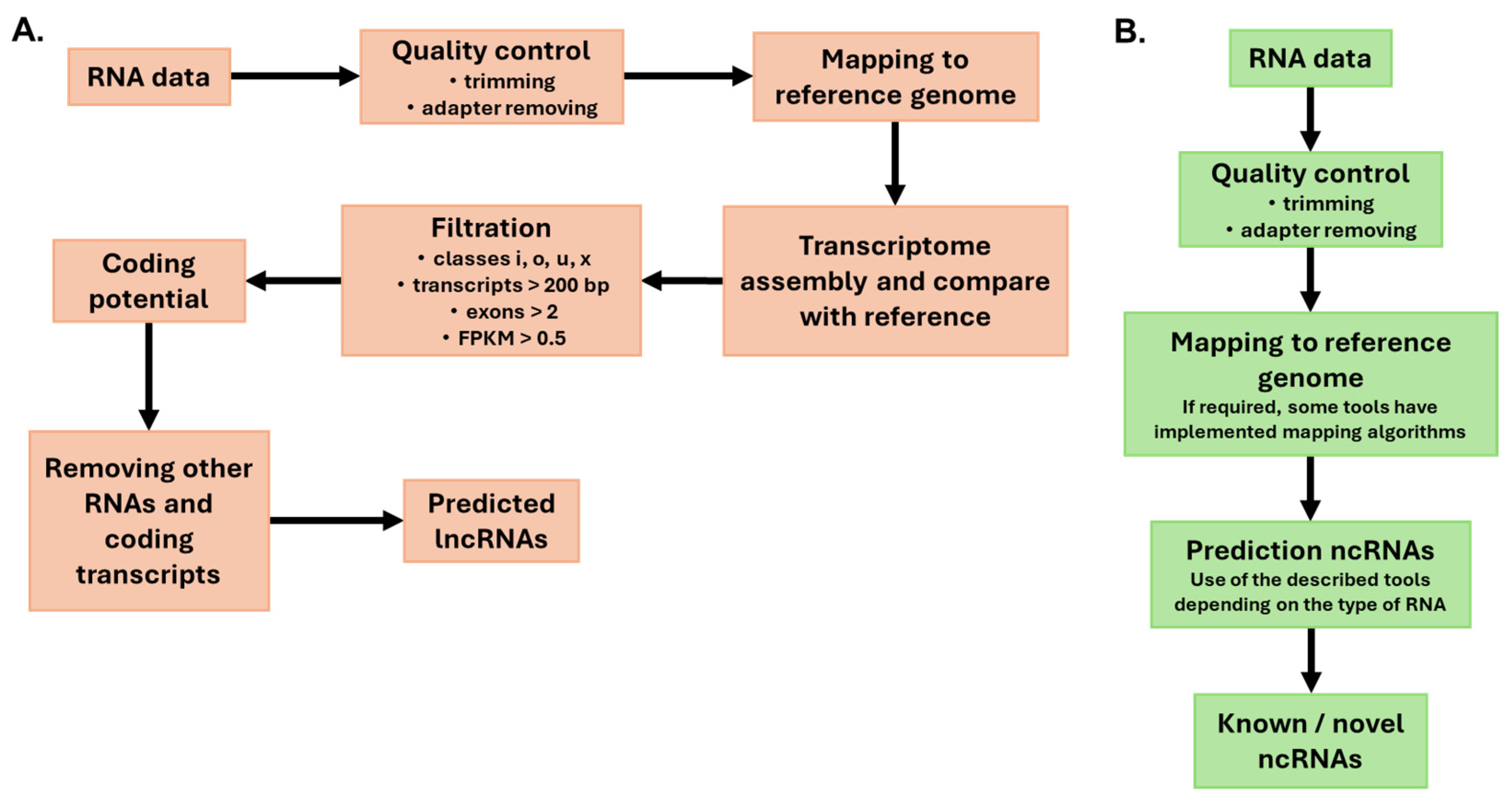 Ijms 26 09892 g006 Ijms 26 09892 g006