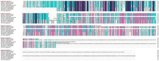 Investigation of the Role of miR-1236-3p in Heat Tolerance of
