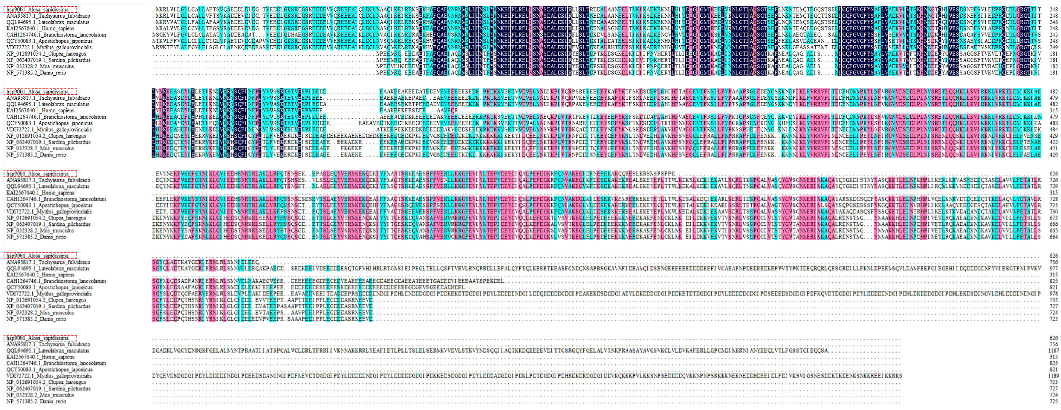 Ijms 26 09908 g001 Ijms 26 09908 g001