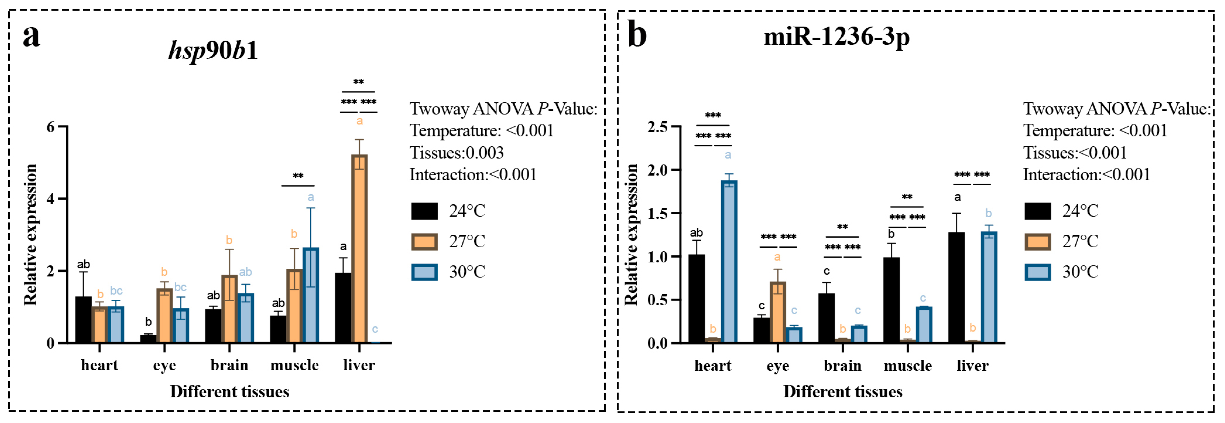 Ijms 26 09908 g004 Ijms 26 09908 g004