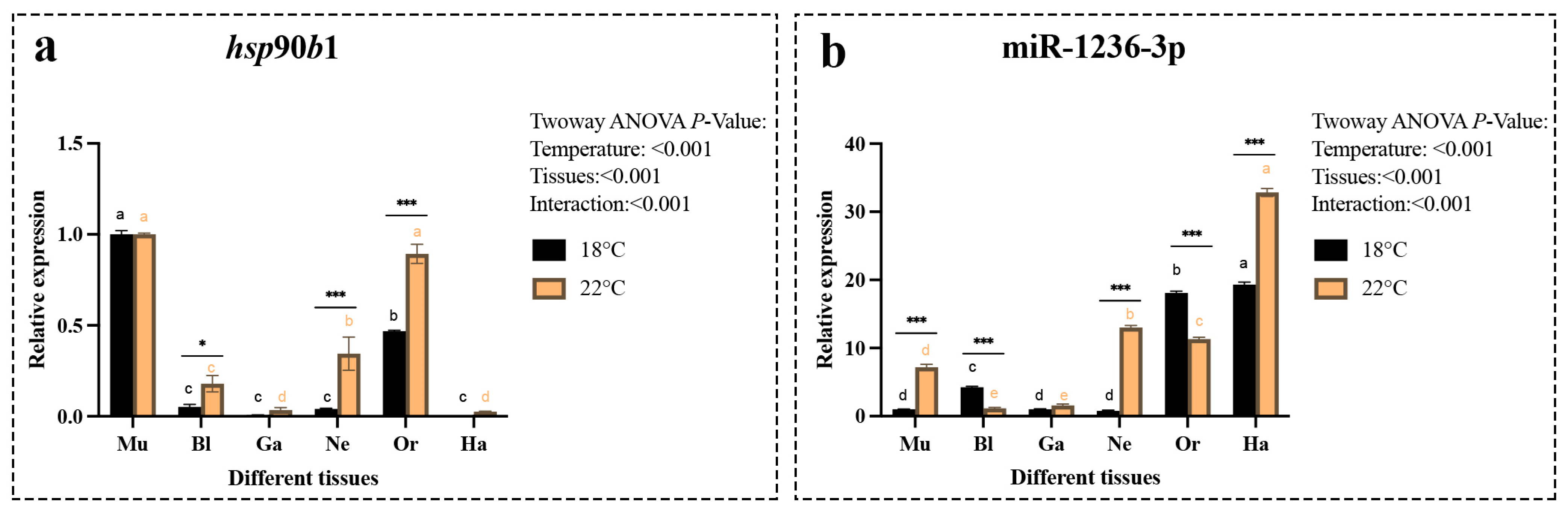Ijms 26 09908 g005 Ijms 26 09908 g005