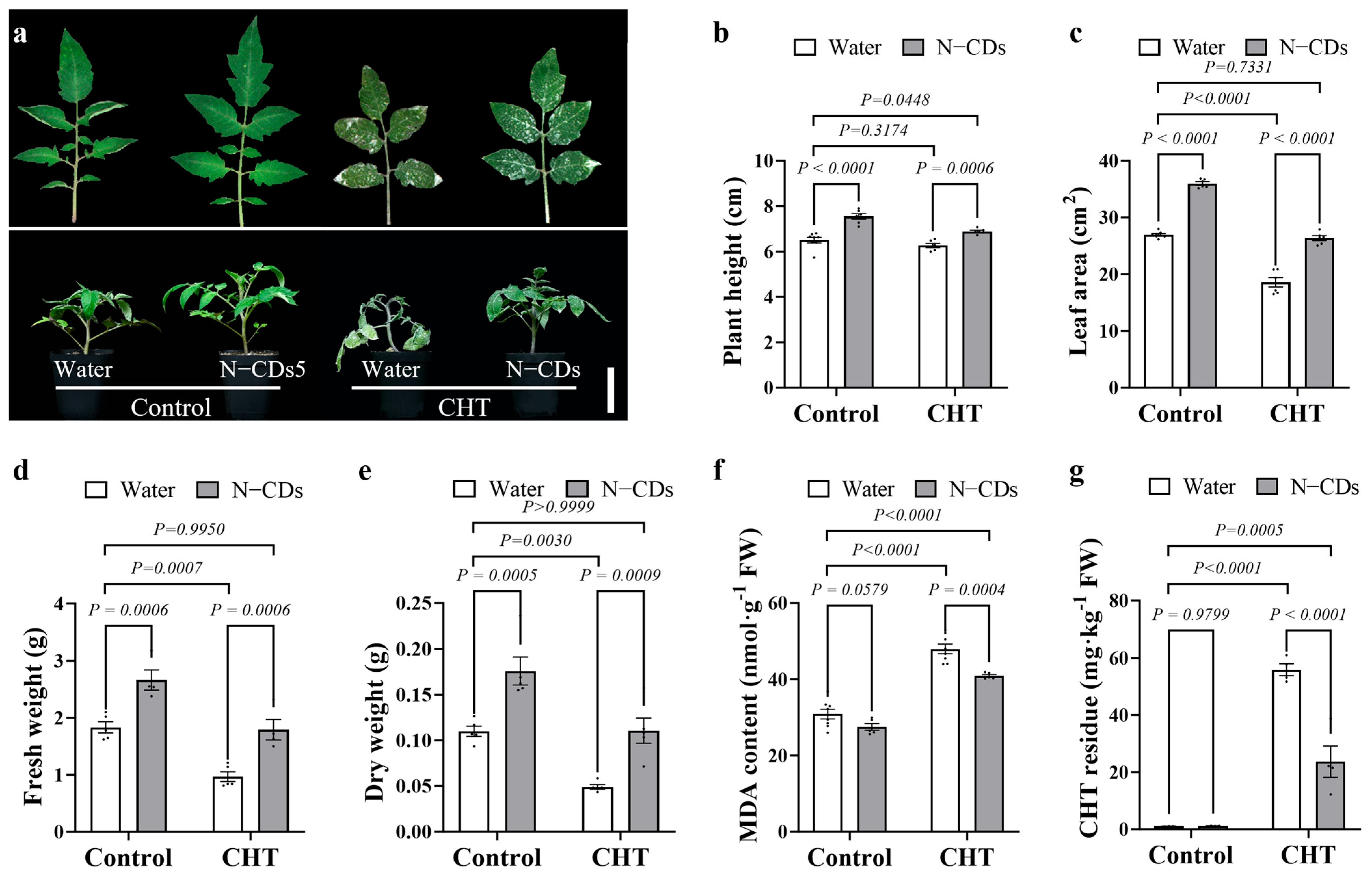 Ijms 26 09916 g004 Ijms 26 09916 g004
