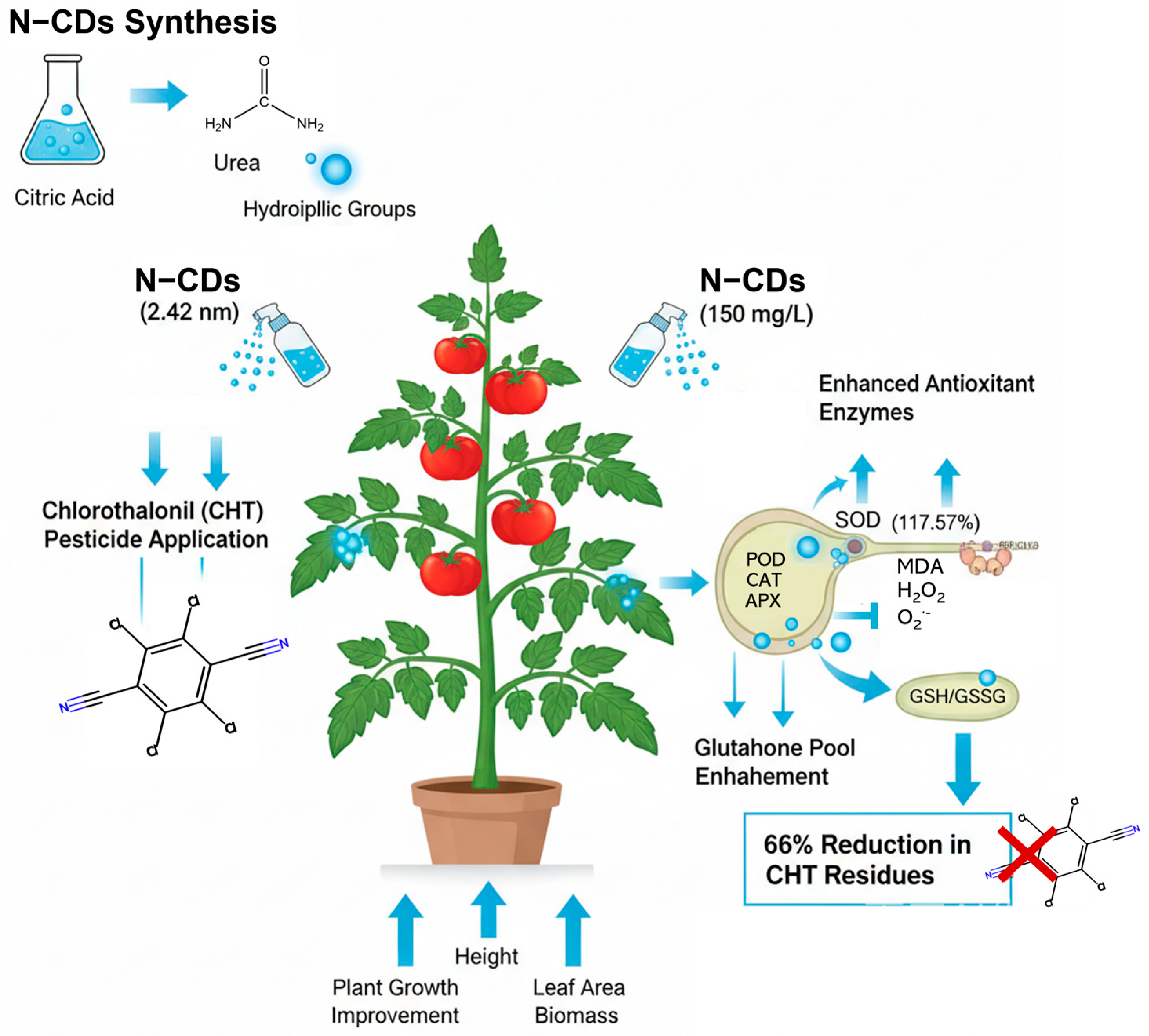 Ijms 26 09916 g008 Ijms 26 09916 g008