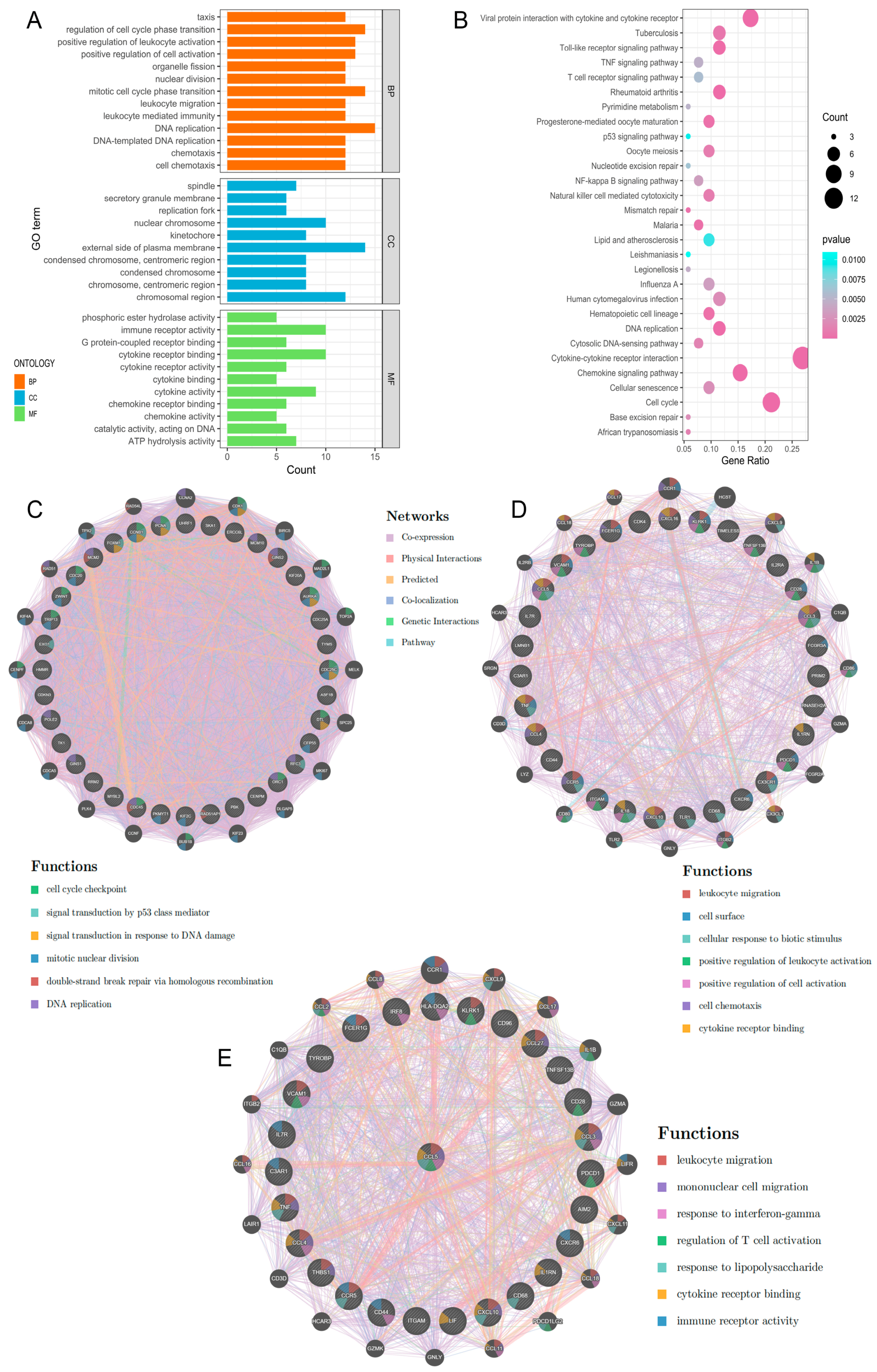 Ijms 26 09920 g003 Ijms 26 09920 g003